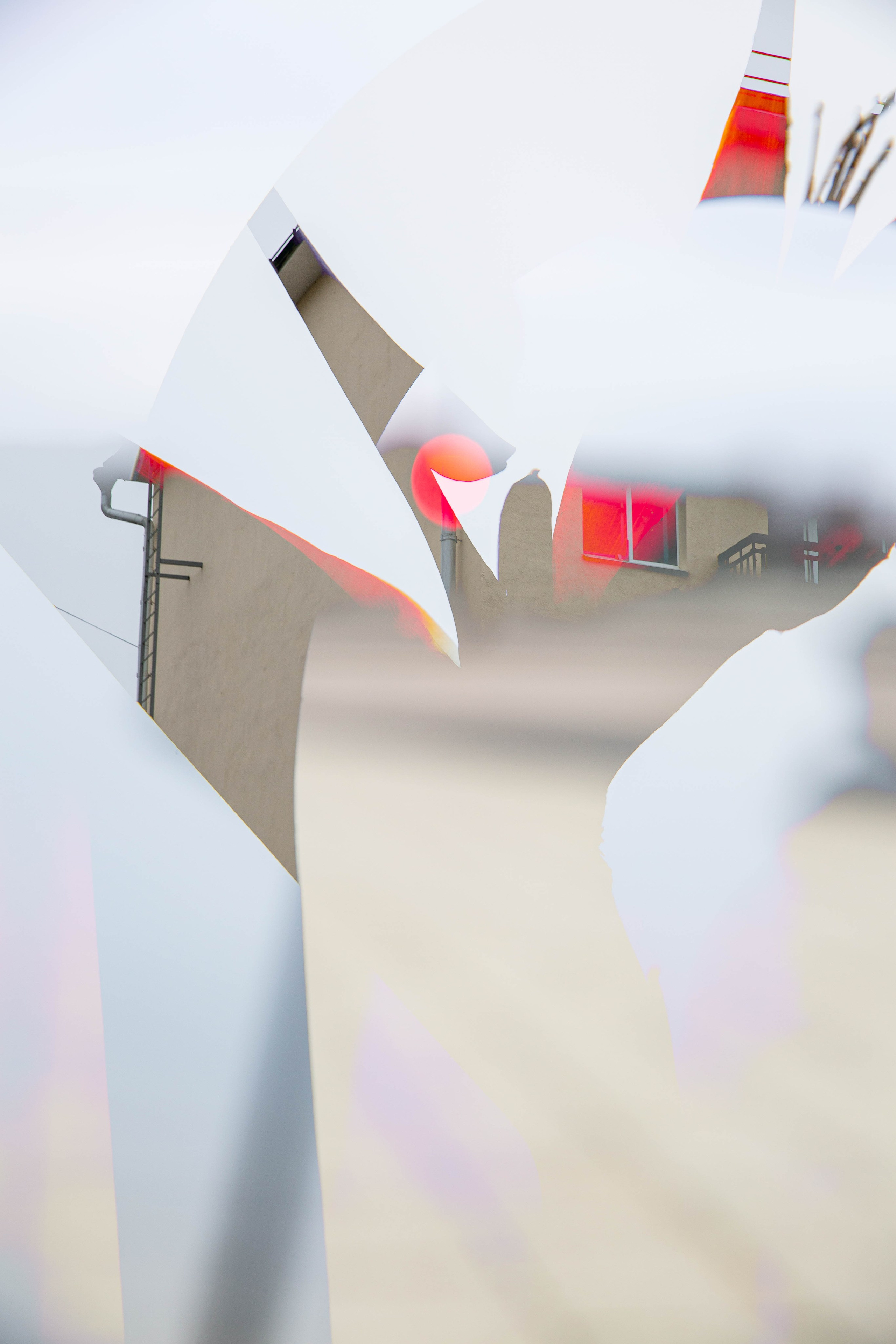 СТРОФА 2 — ЦВЕТОВЕДЕНИЕ. Photographer Anna Arzamastseva