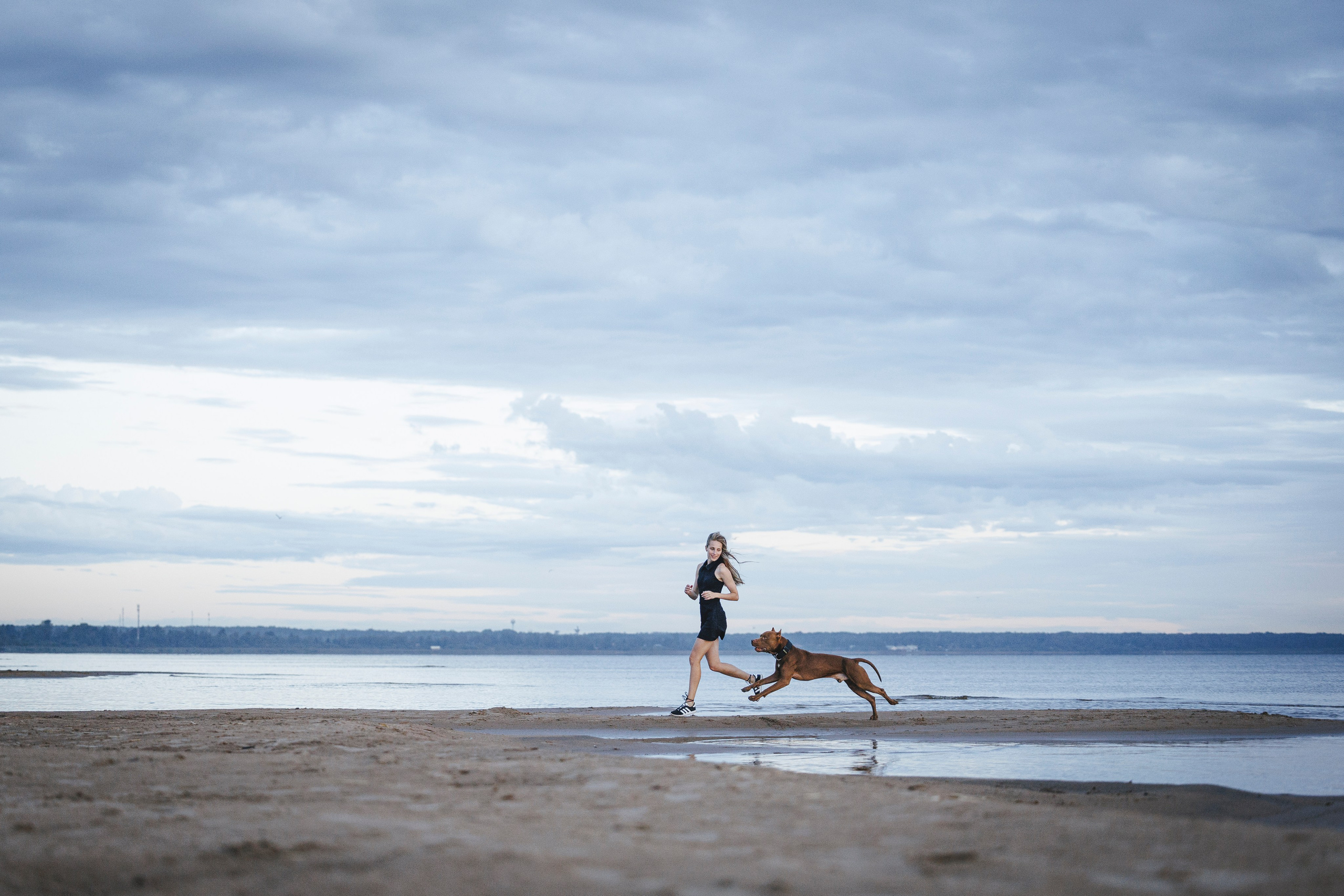 Яна и Энди. Фотограф-анималист Анна Маринич
