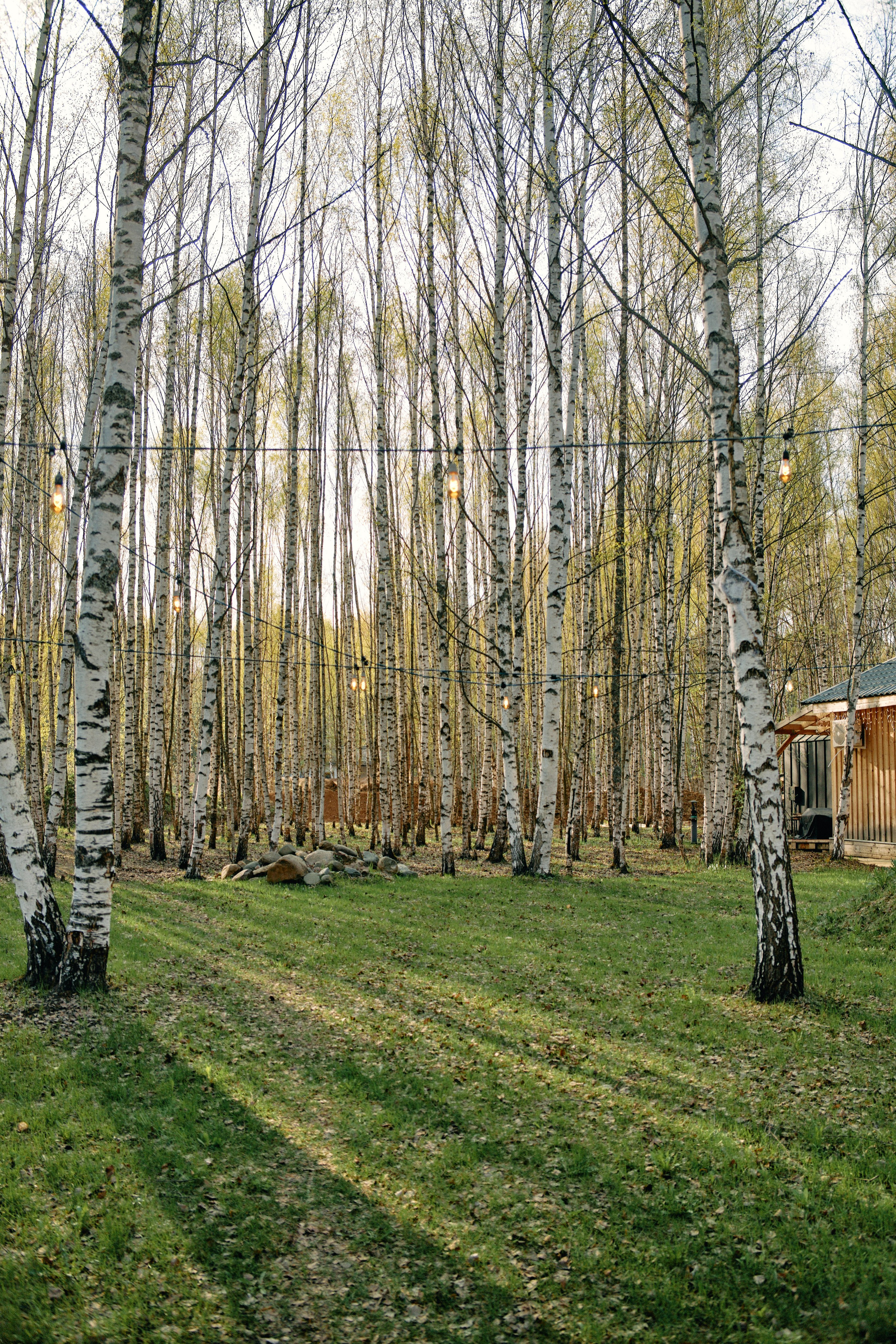 Бутик-отель Поле летом. Профессиональный Фотограф во Владимире, в Москве и в Суздале — Полина Романычева