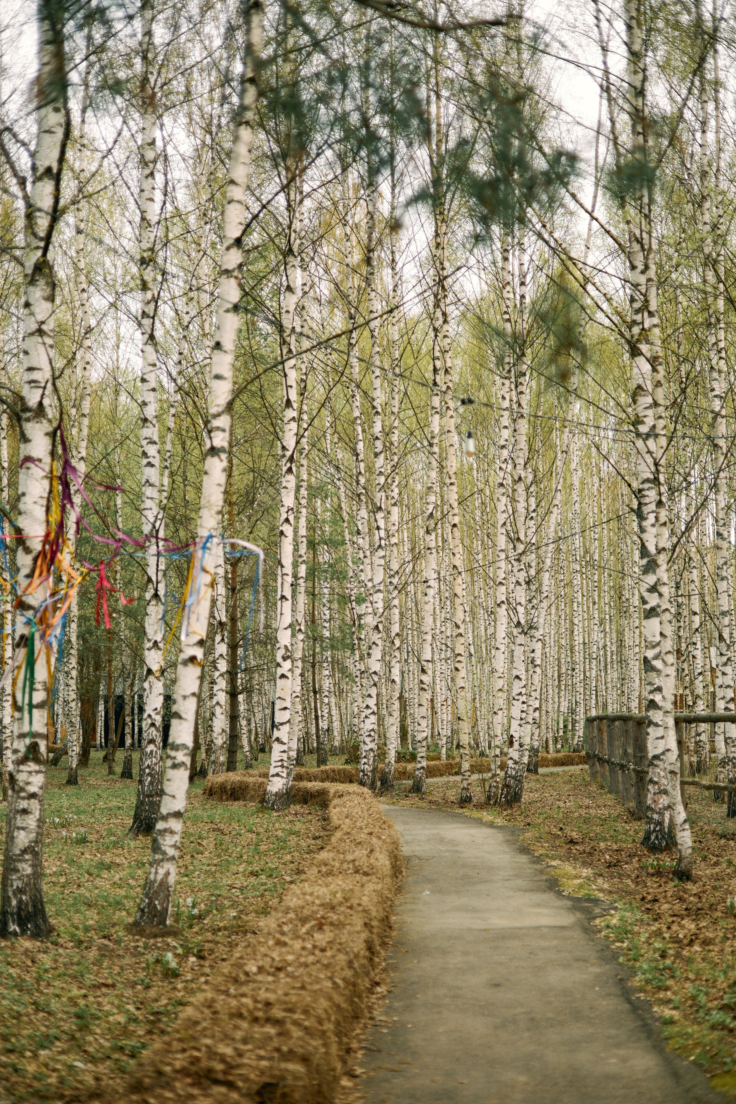 Бутик-отель Поле летом. Профессиональный Фотограф во Владимире, в Москве и в Суздале — Полина Романычева