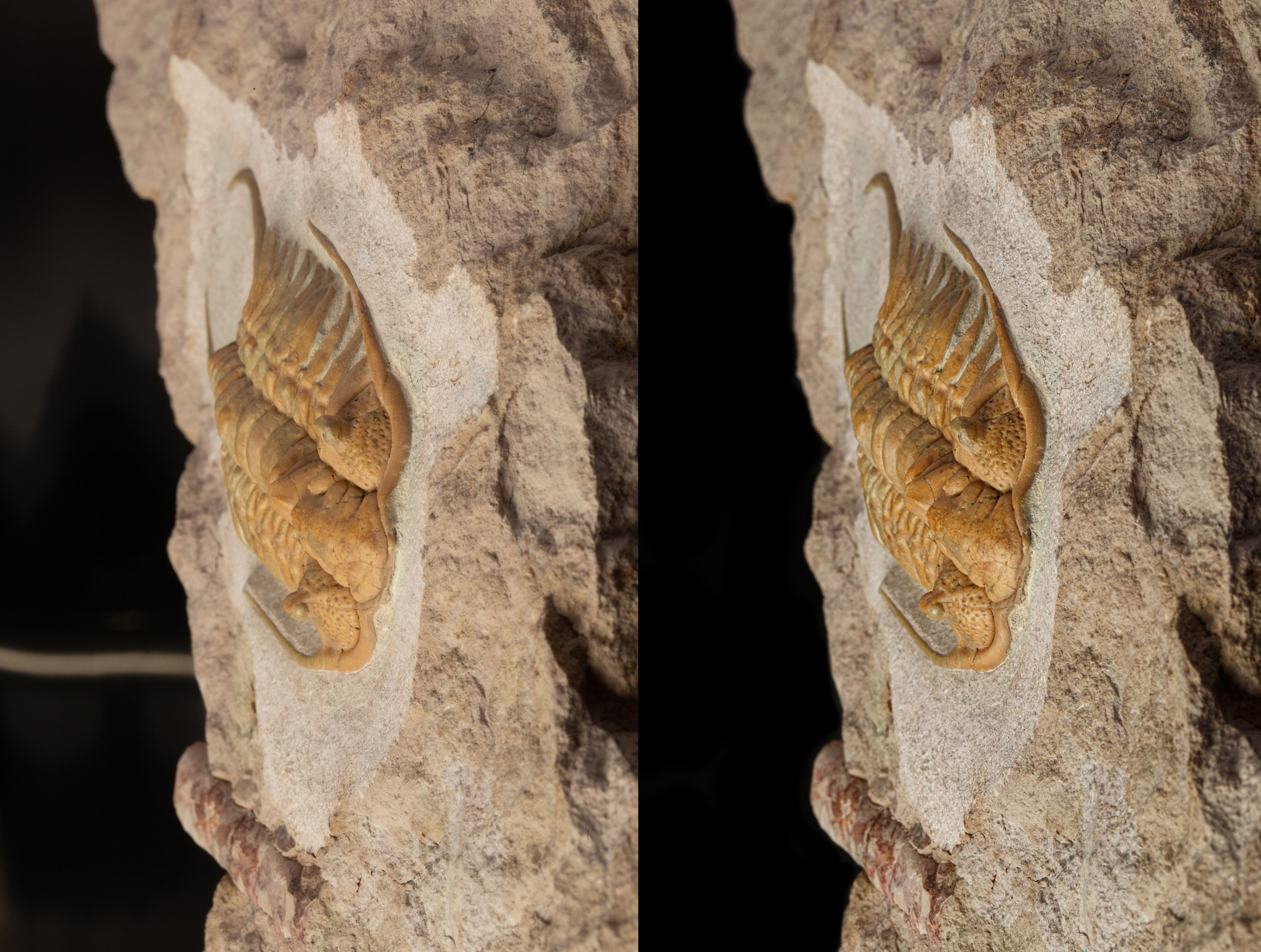 Предметы коллекционирования