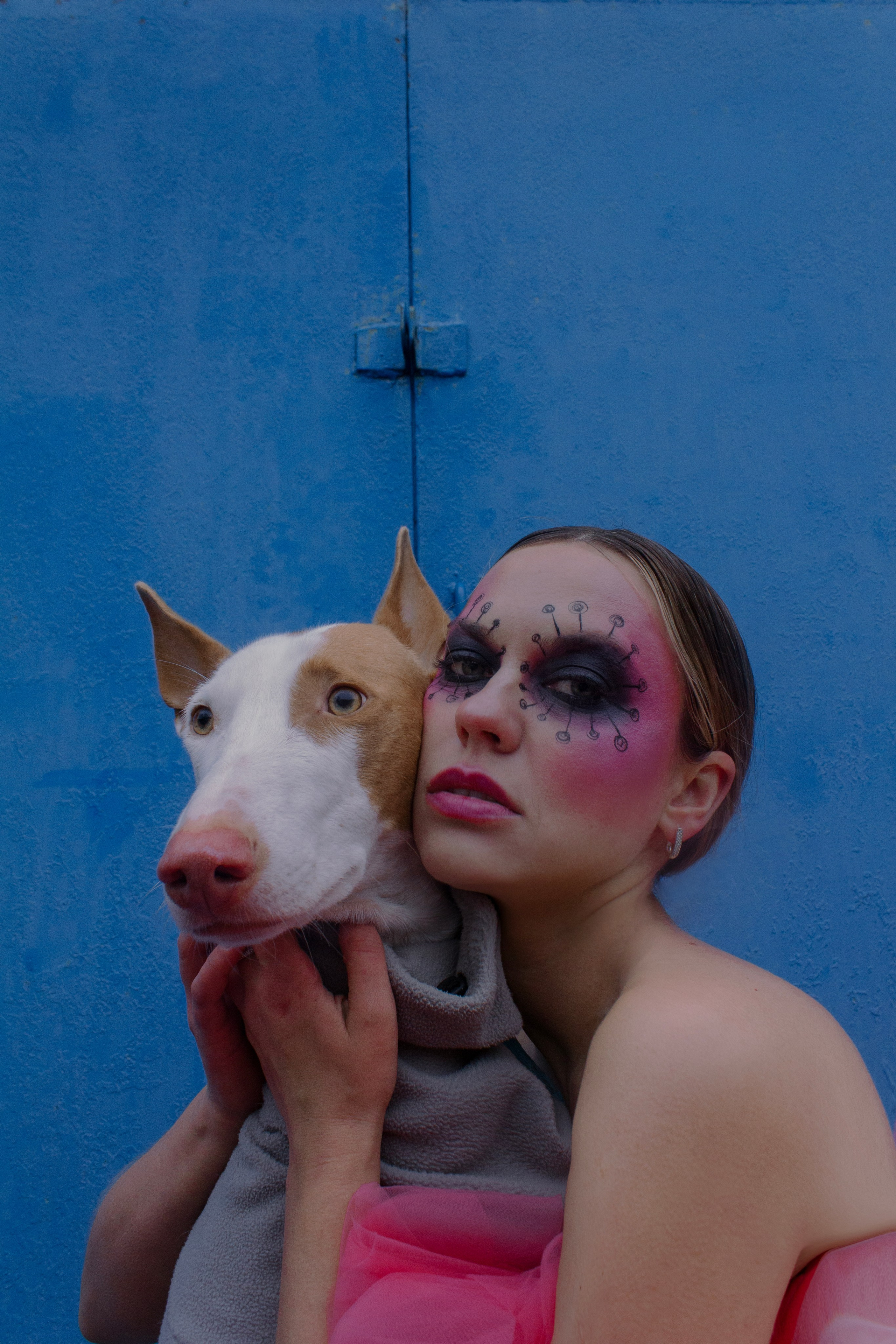 Яркая собачья жизнь