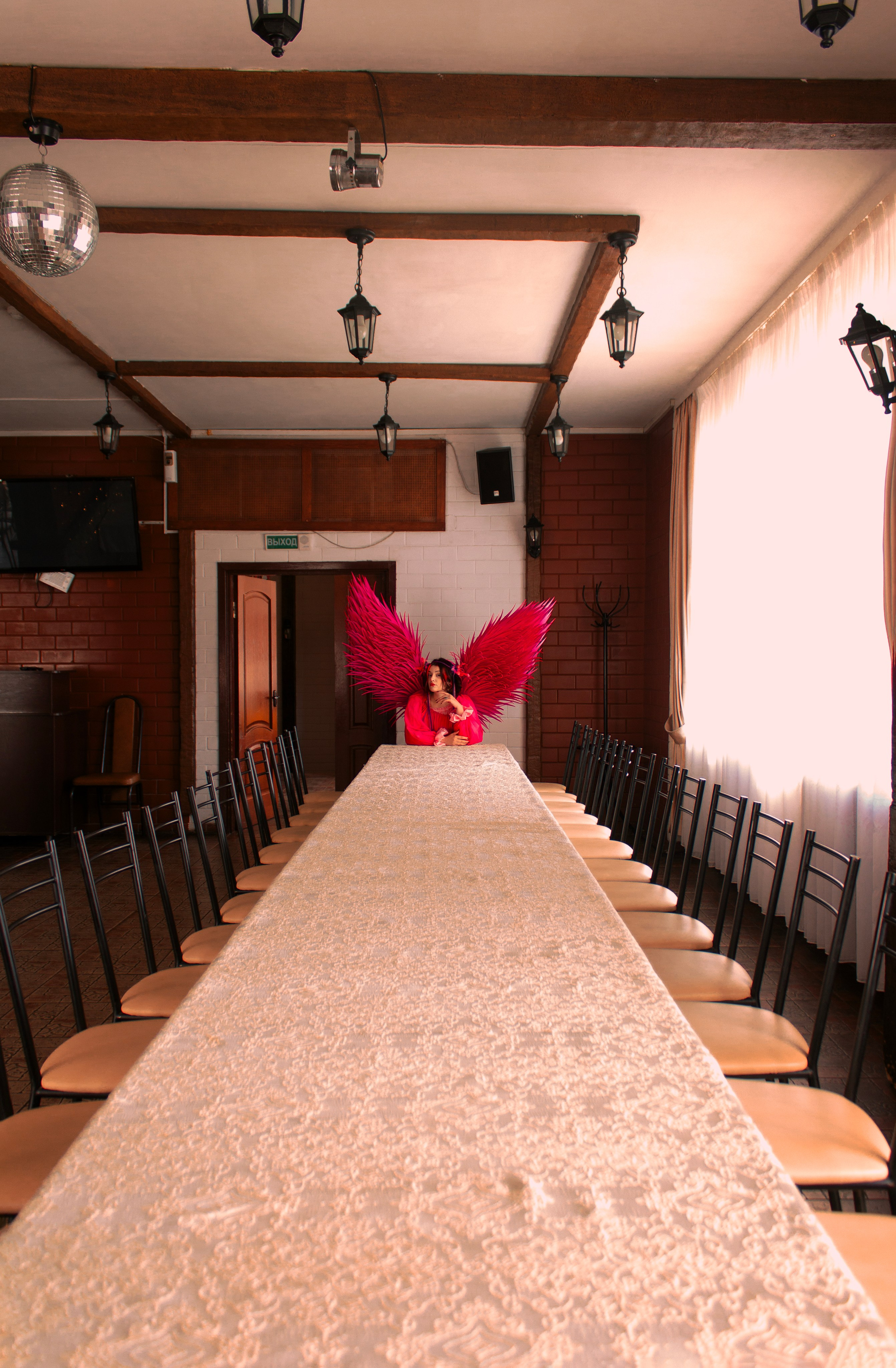 Земля под розовыми крыльями