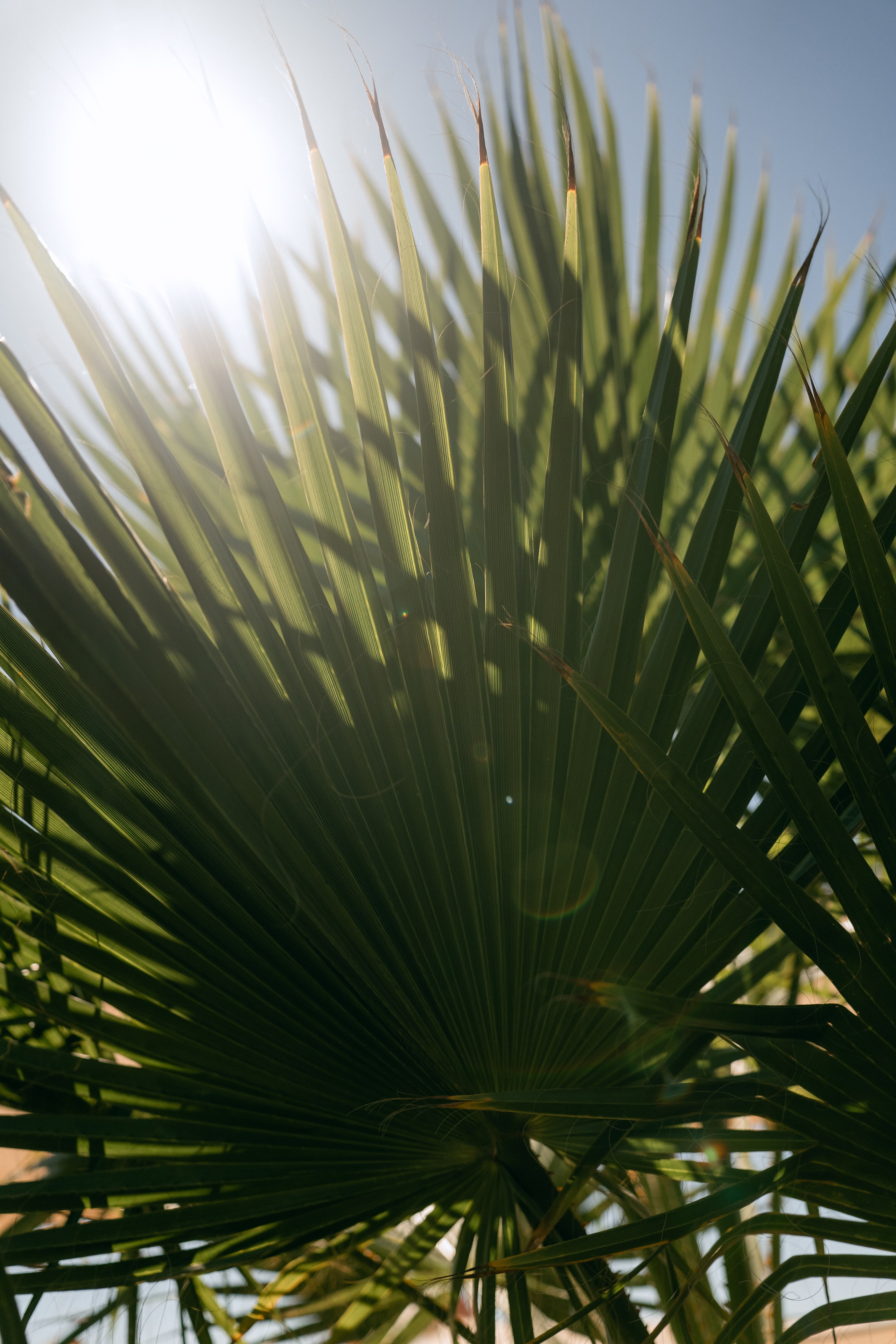 American-Russian Wedding. Wedding & Documentary Photographer based in Nuremberg — available across Europe & Turkey | Vitalii Nasonov