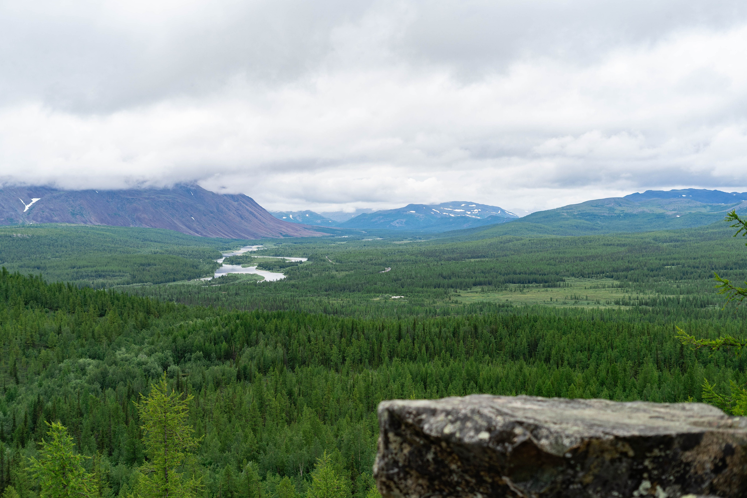 Лето в тундре. Фотограф Екатерина Зорина