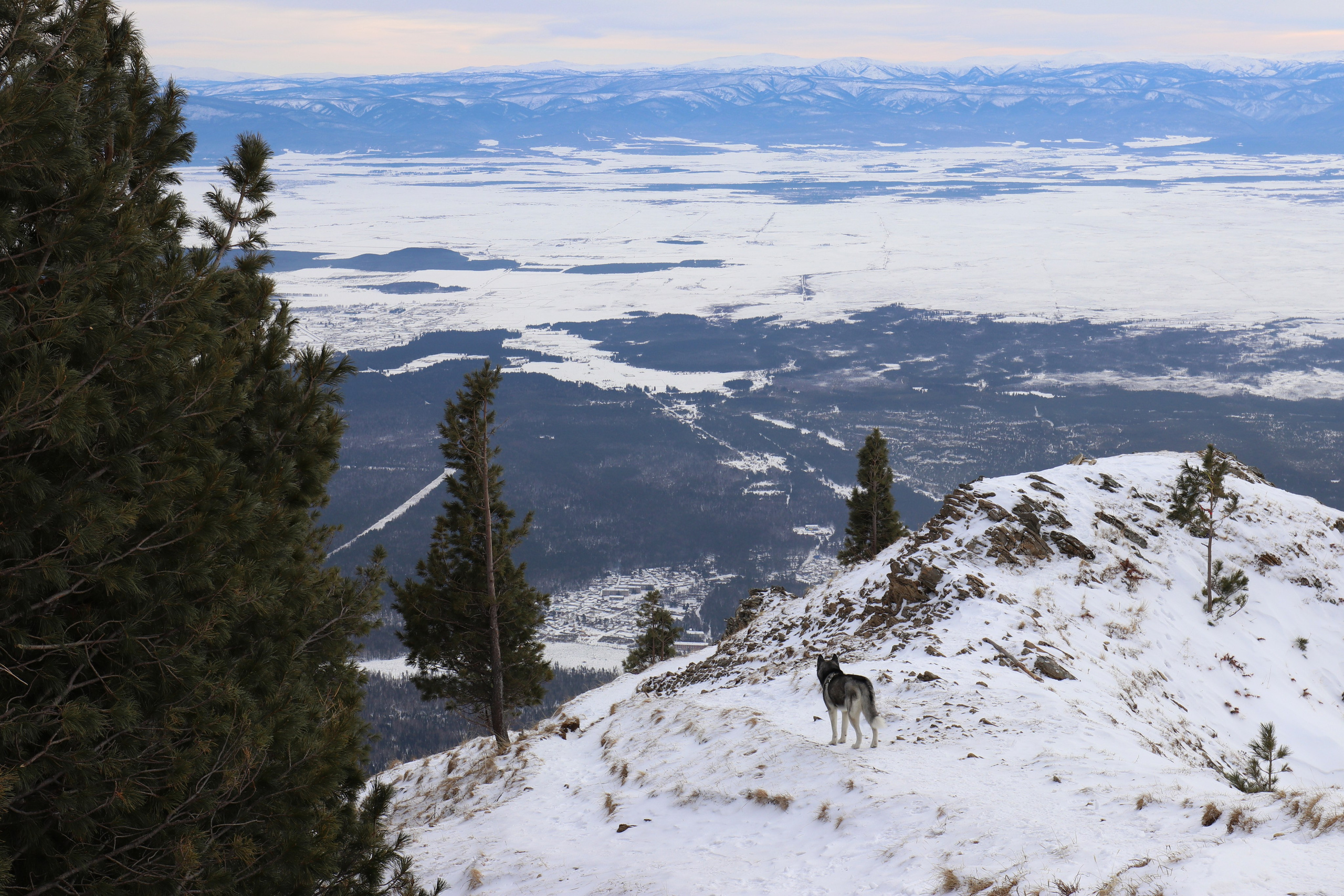 Аршан. Февраль 2025. Путешественник-фотограф из Санкт-Петербурга Татьяна Свистулина