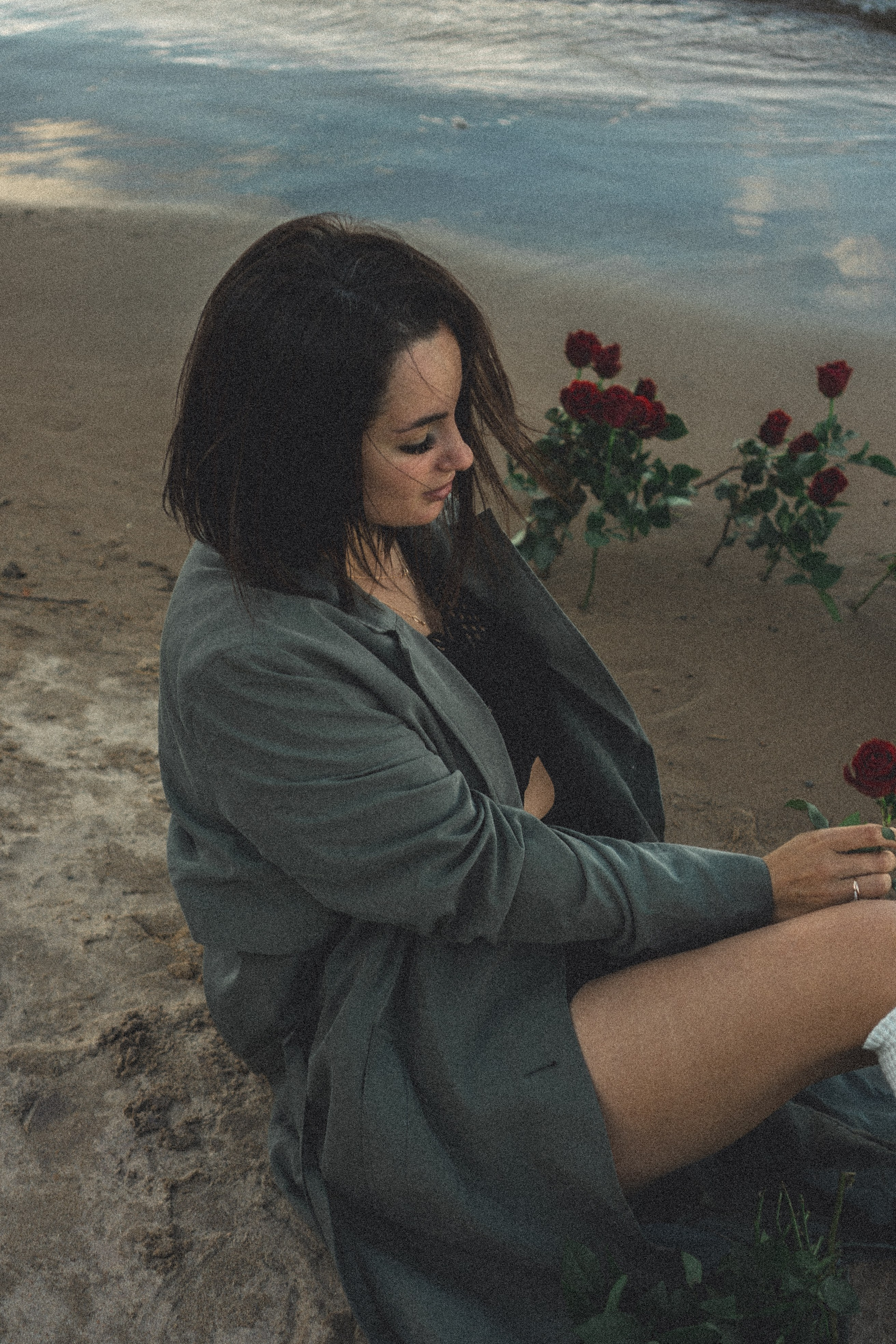 Розы. Профессиональный фотограф, Санкт-Петербург — Виктория Богомолова