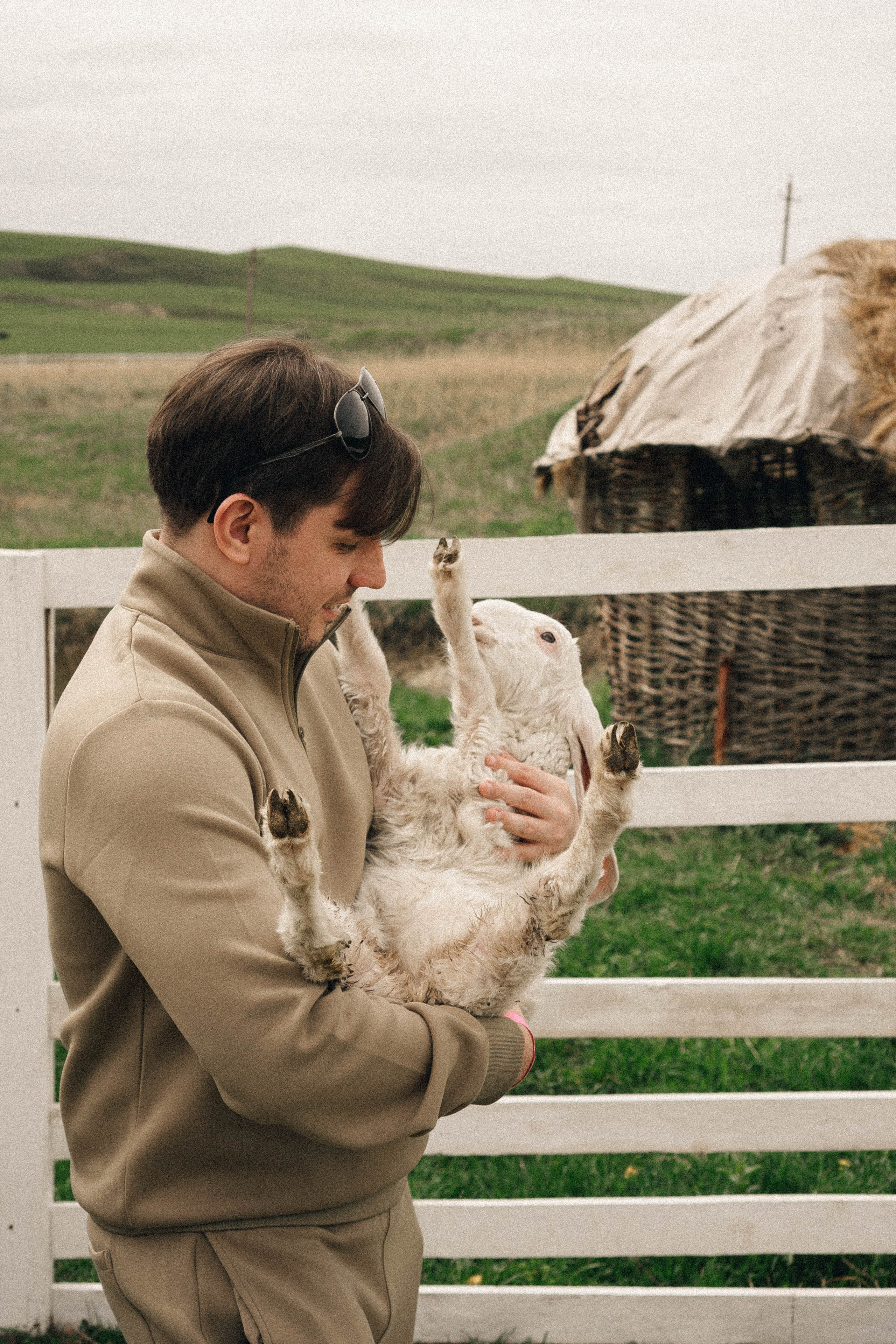 Ферма Альпак. Профессиональный фотограф, Санкт-Петербург — Виктория Богомолова
