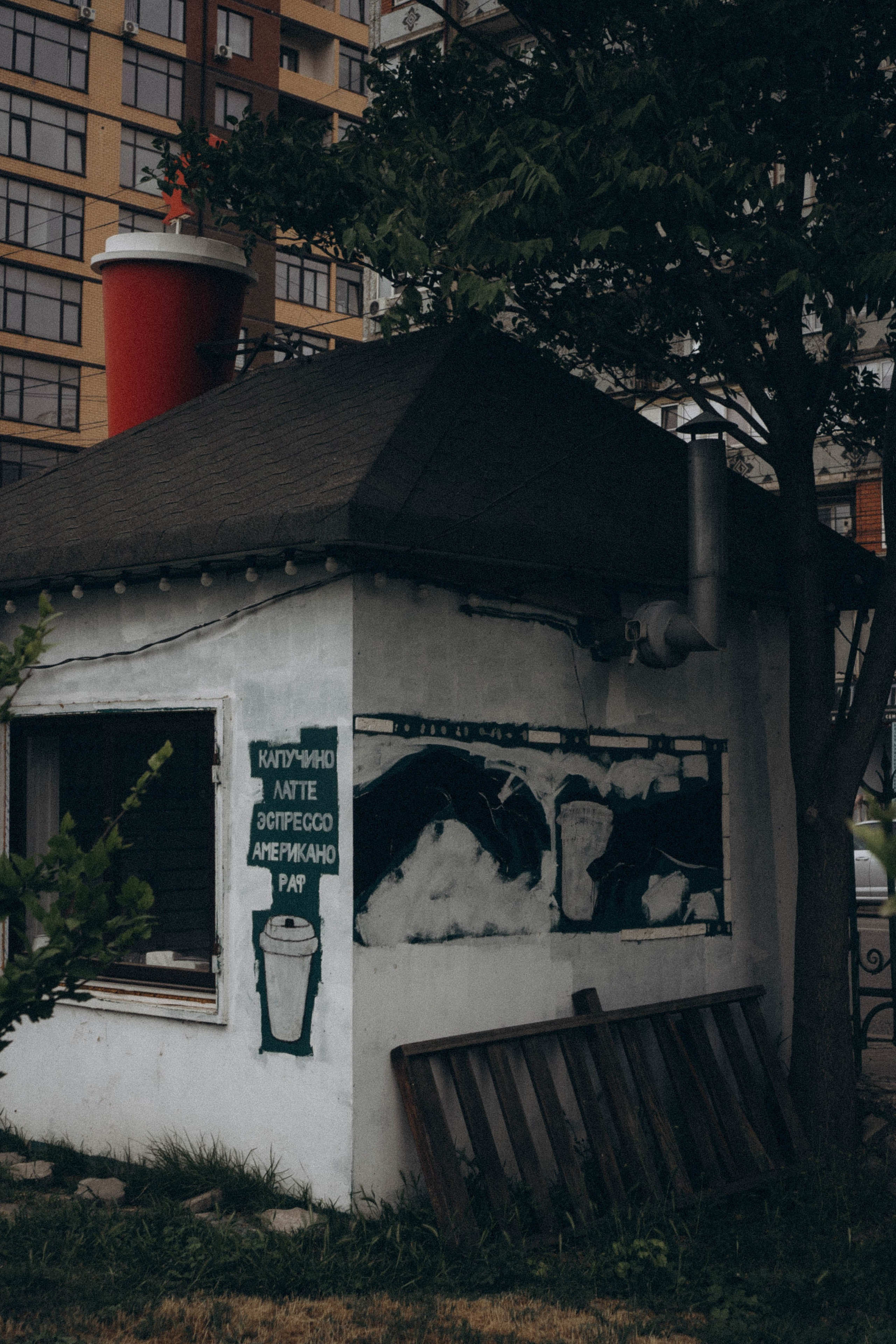 Кавказ. Профессиональный фотограф, Санкт-Петербург — Виктория Богомолова