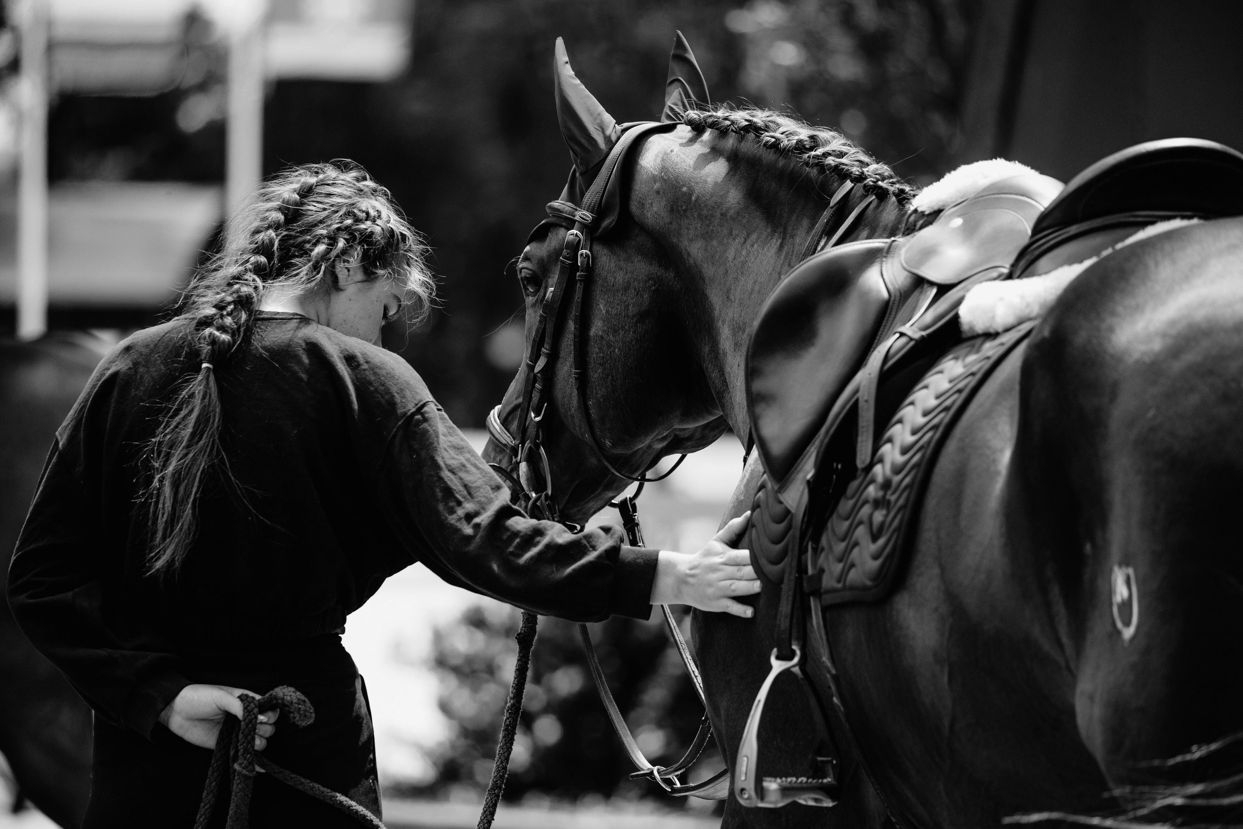 Тренировки. Фотограф-анималист Ксендзова Кристина