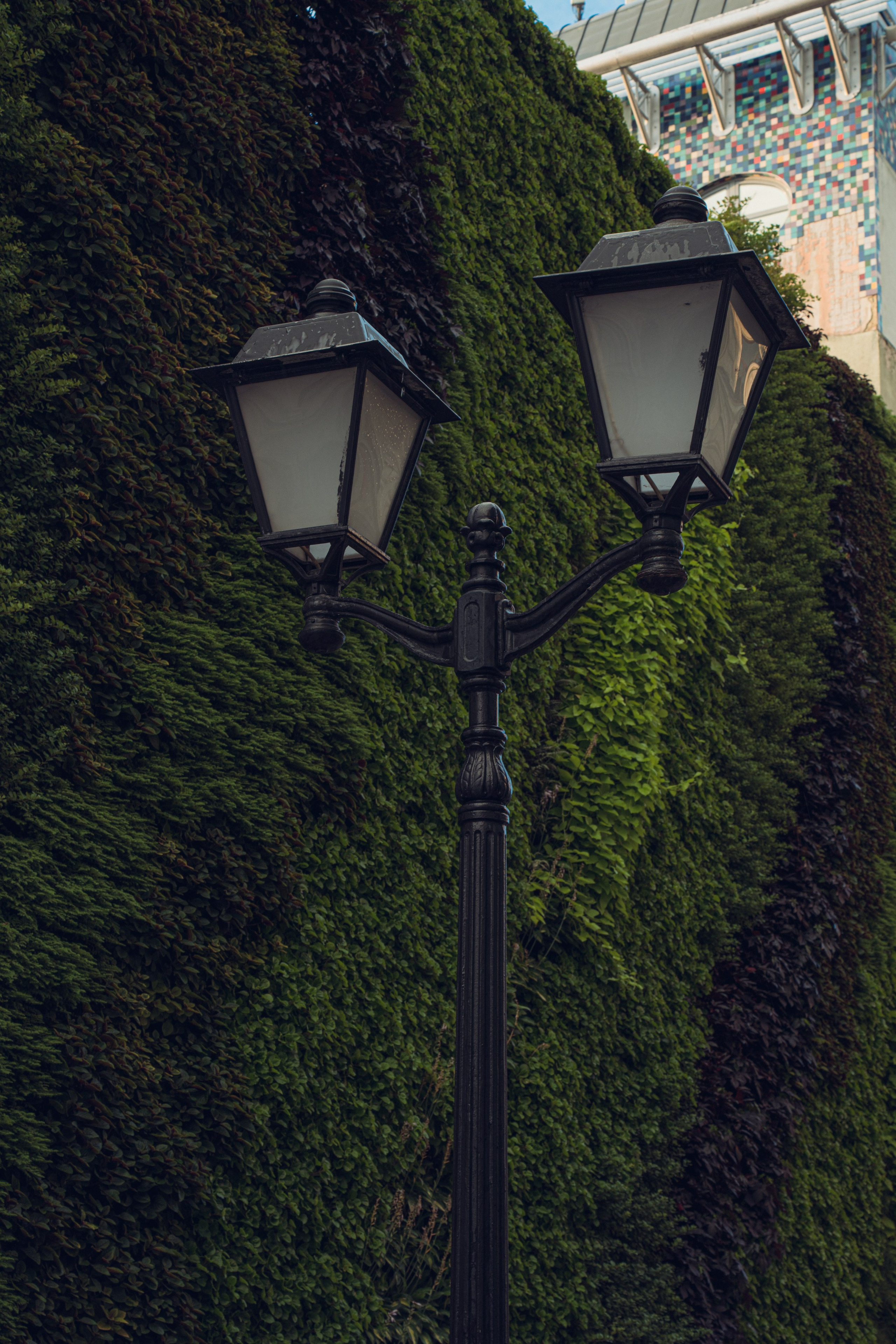 Прогулка 05.08.2024. Фотограф Мирослава Ряполова, Москва