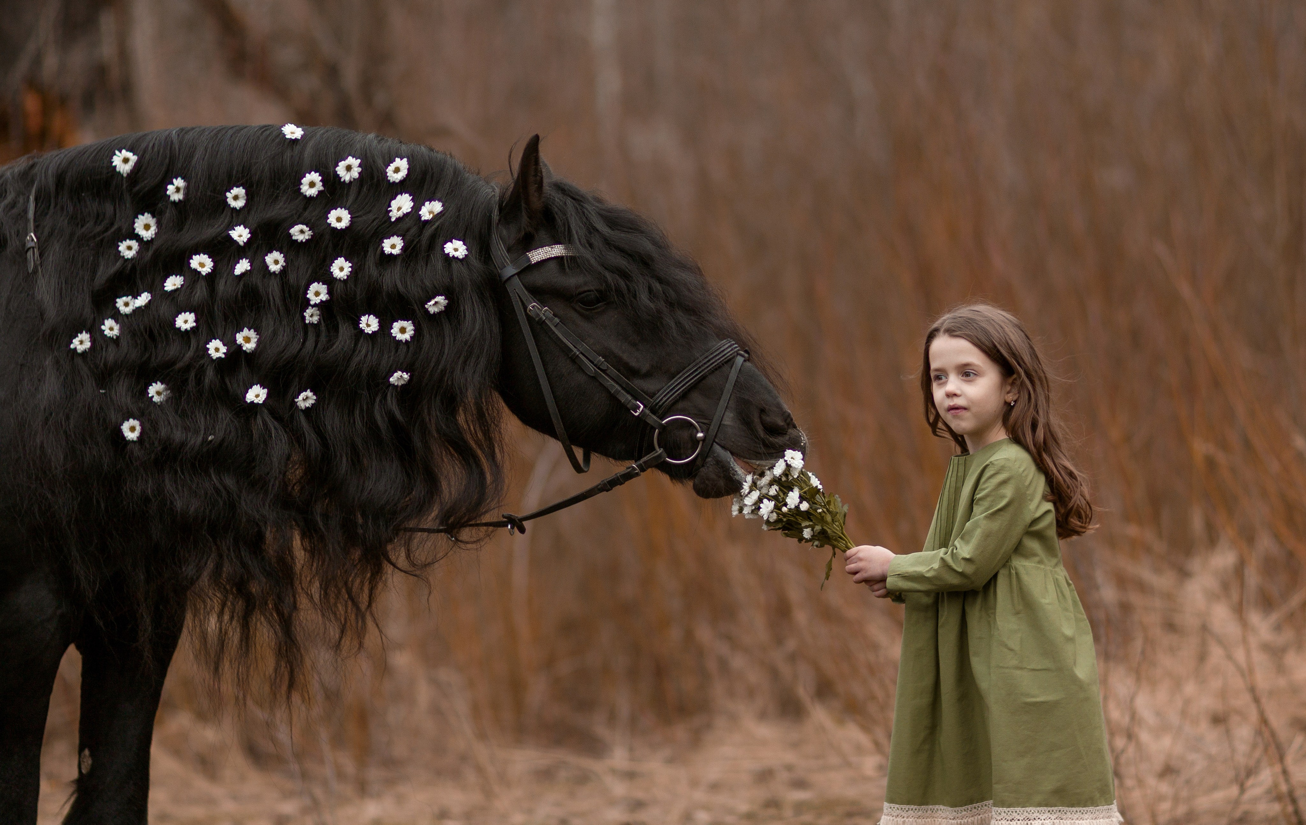 Детская фотосессия с лошадью. Фотосессии с лошадьми в Москве от Конный фотографа Кутейниковой Светланы