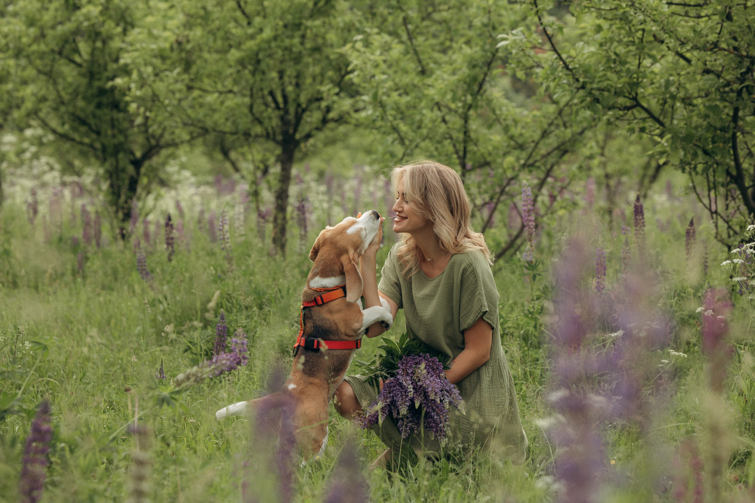 Кристина и Нора. На закате дня. Фотограф анималист в Казани Алина Сулейманова. Фотограф животных