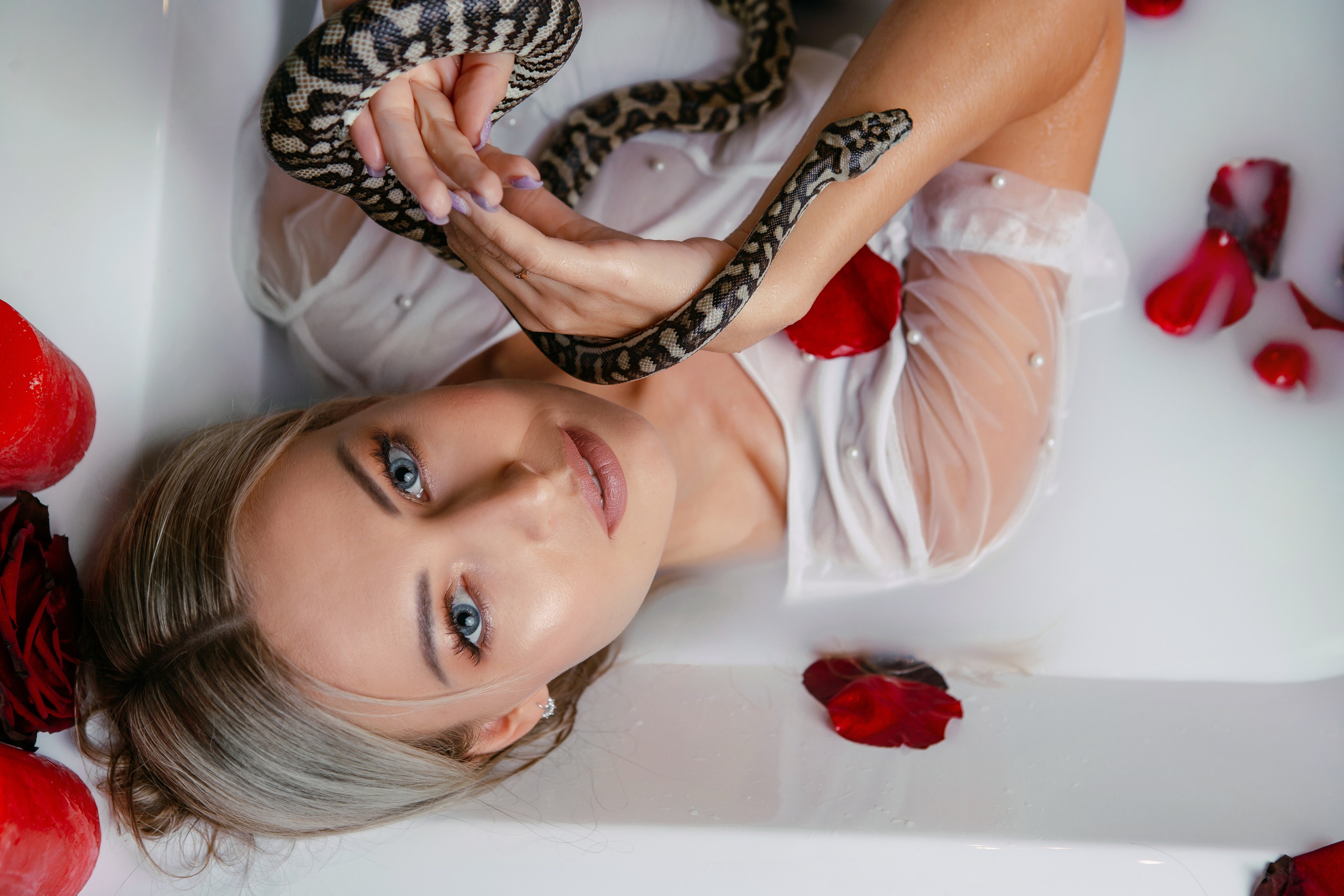 Змеи. Фотограф Новороссийск