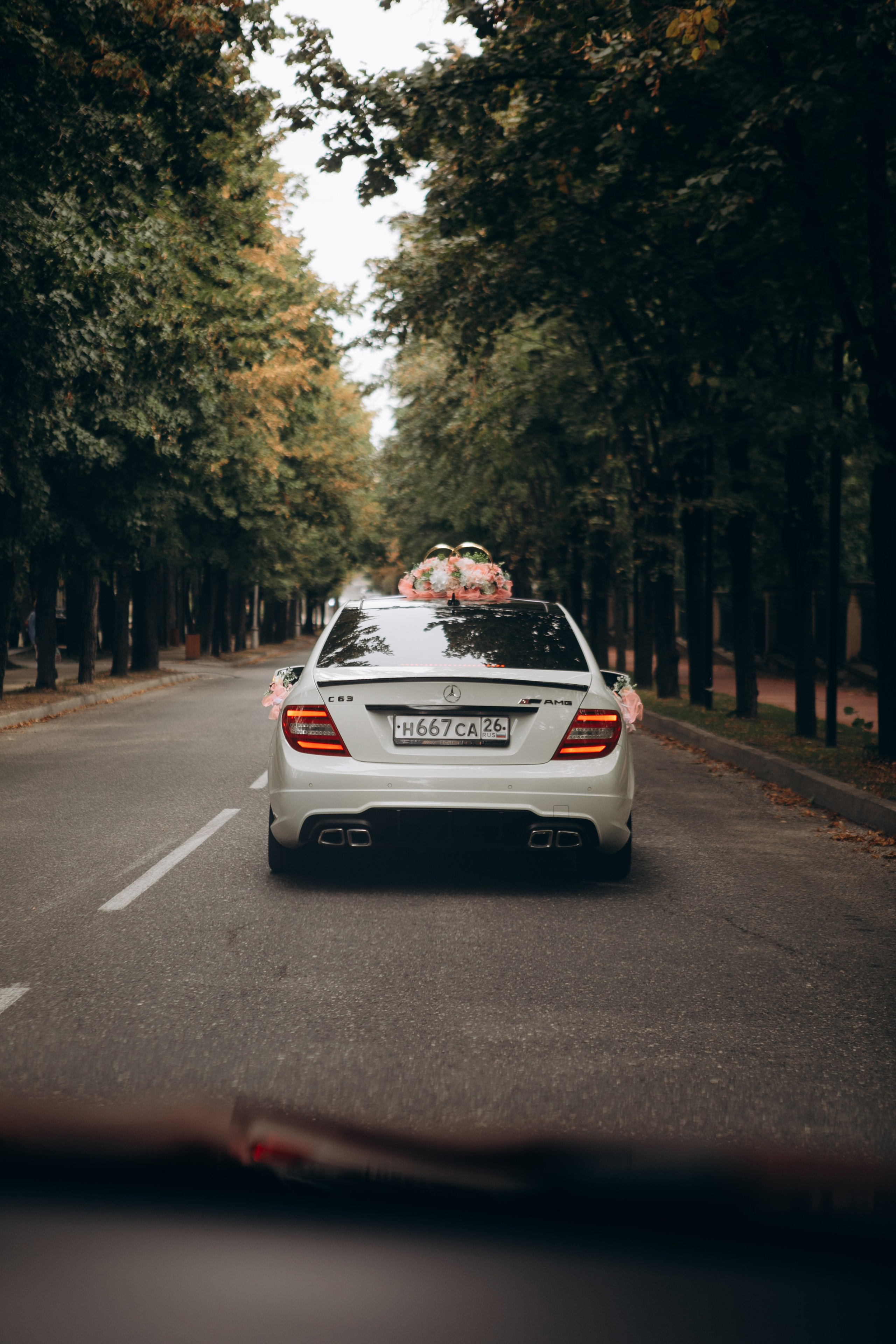 Роман и Евгения. Свадебный и портретный фотограф в Пятигорске, КМВ — Власова Юля