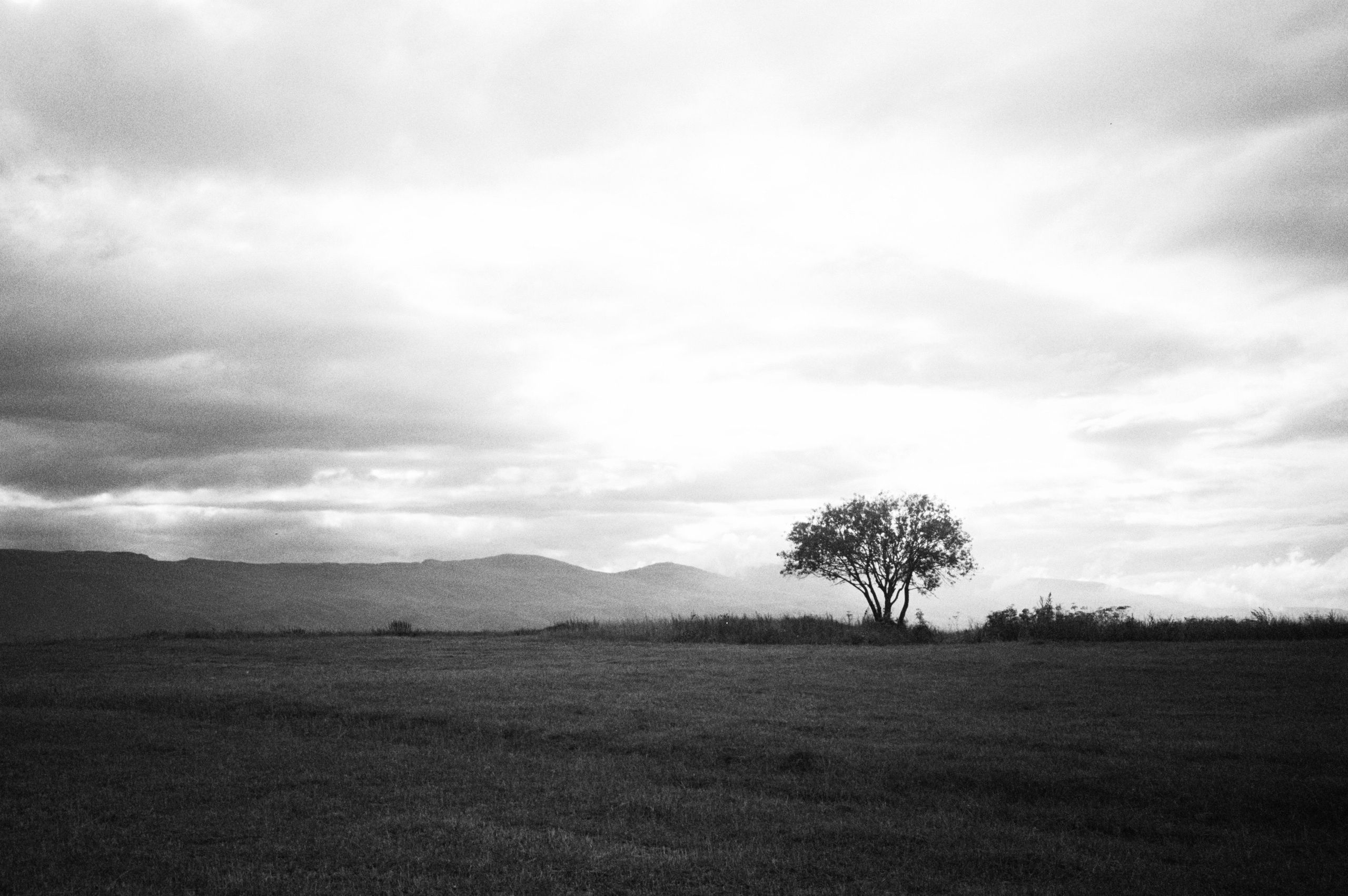 Photo. Оператор-постановщик рекламы и музыкальных клипов