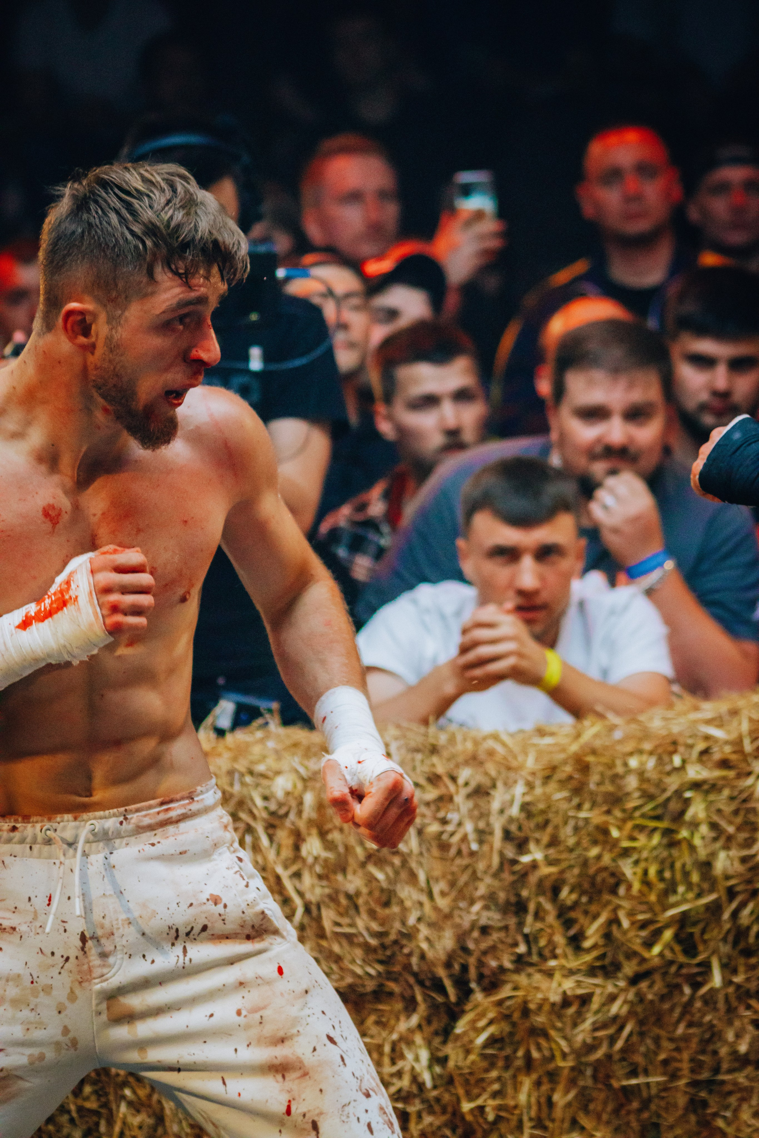 Кулачные бои TopDog. Анастасия Тен