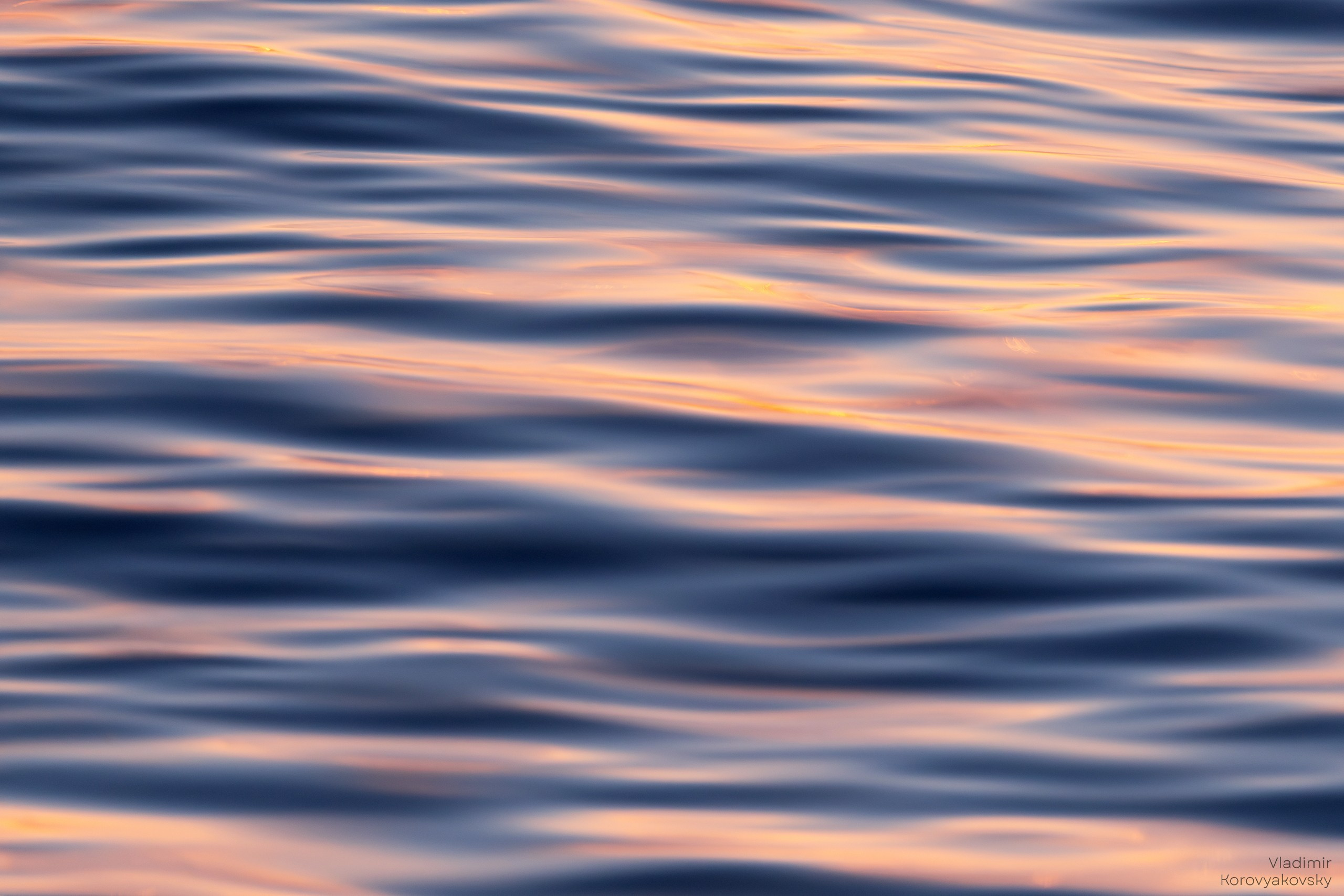 Nature. Photographer Vladimir Korovyakovsky