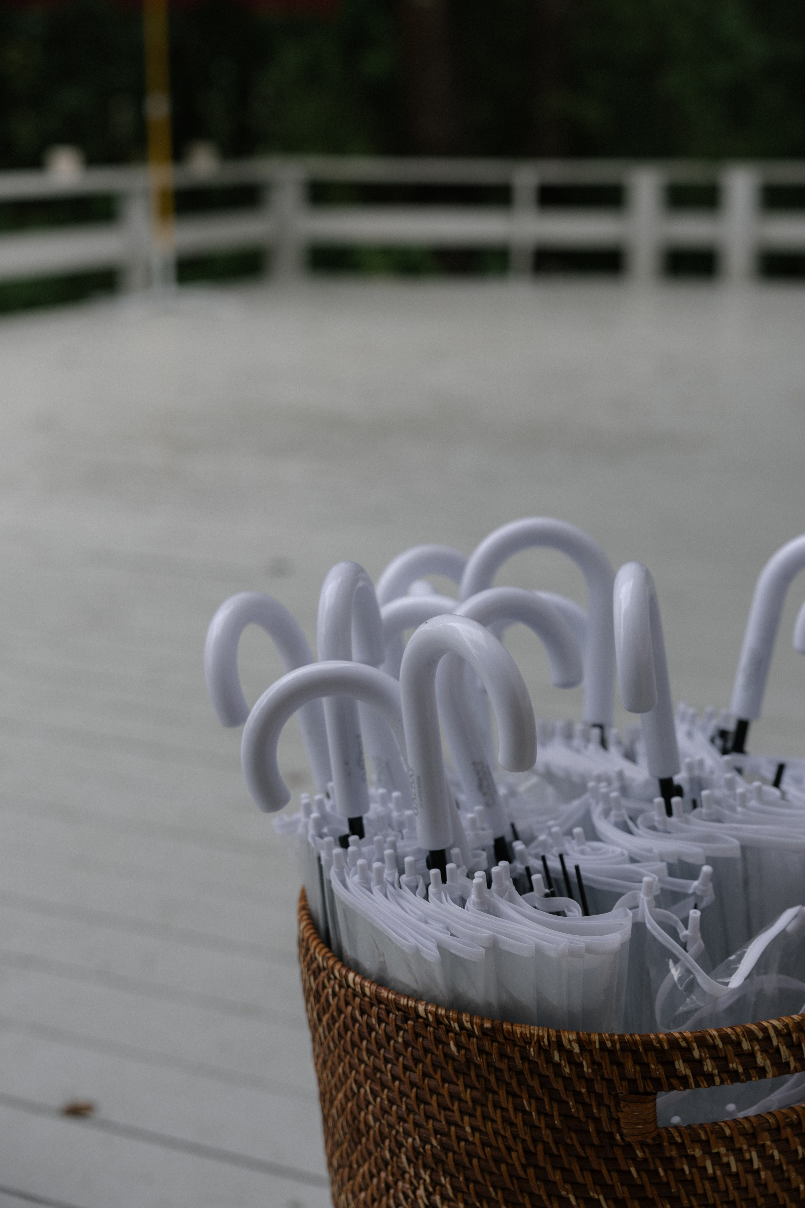 Однажды и навсегда. Портретный фотограф в Санкт-Петербурге