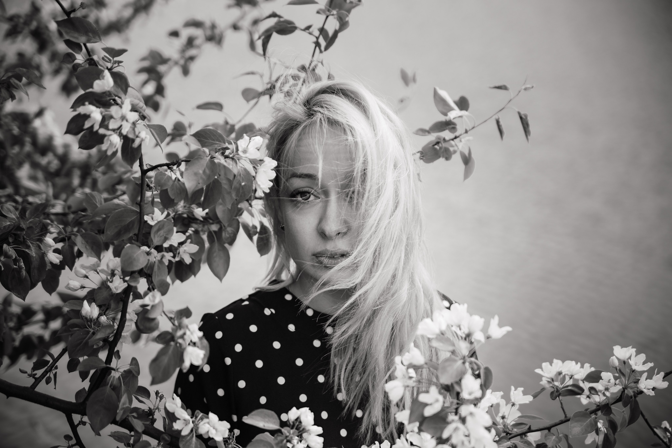 Яблони. Фотограф в Абакане Николай Окунев