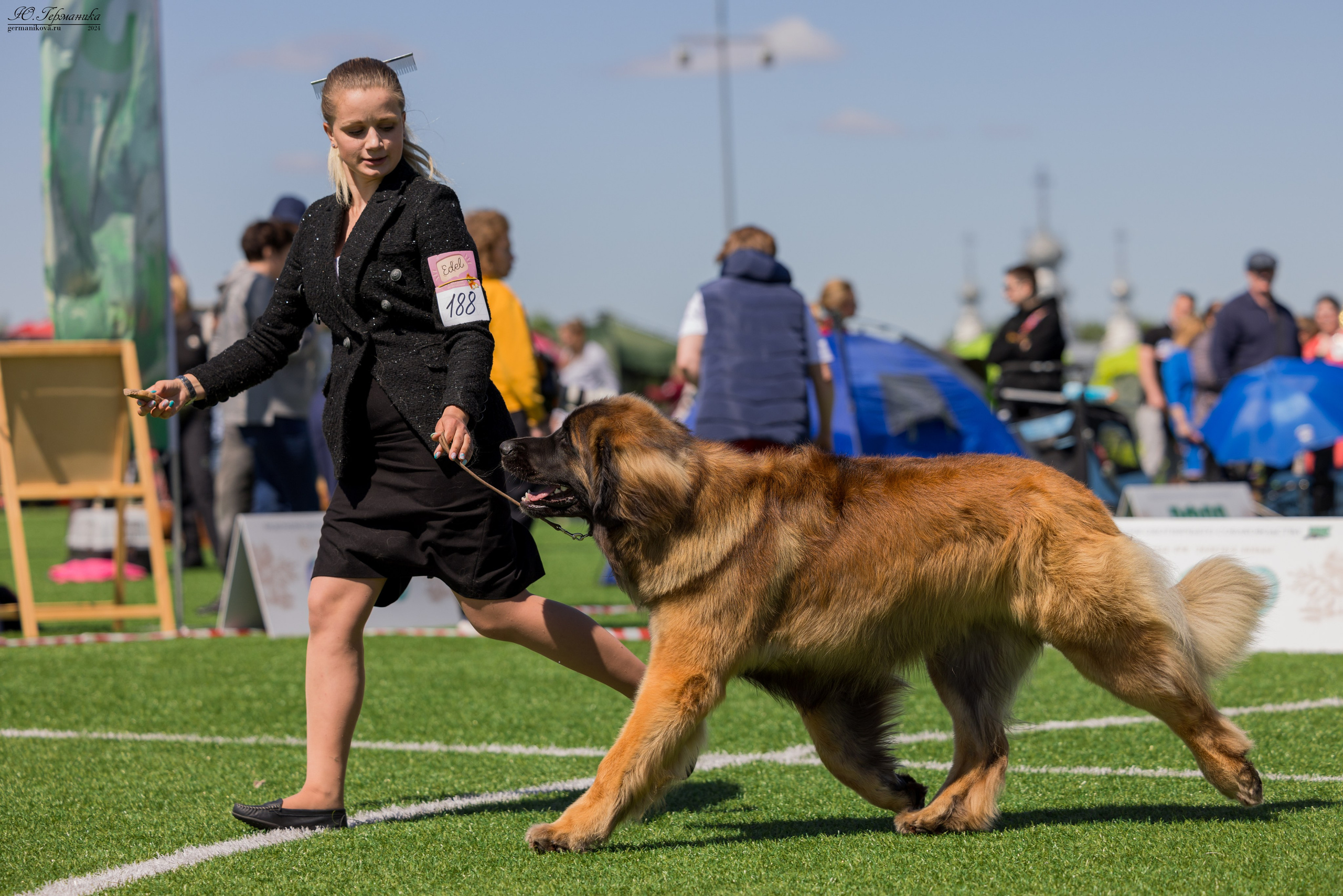 Суздаль 18-19.05.2024. Фотограф-анималист Юлия Германика