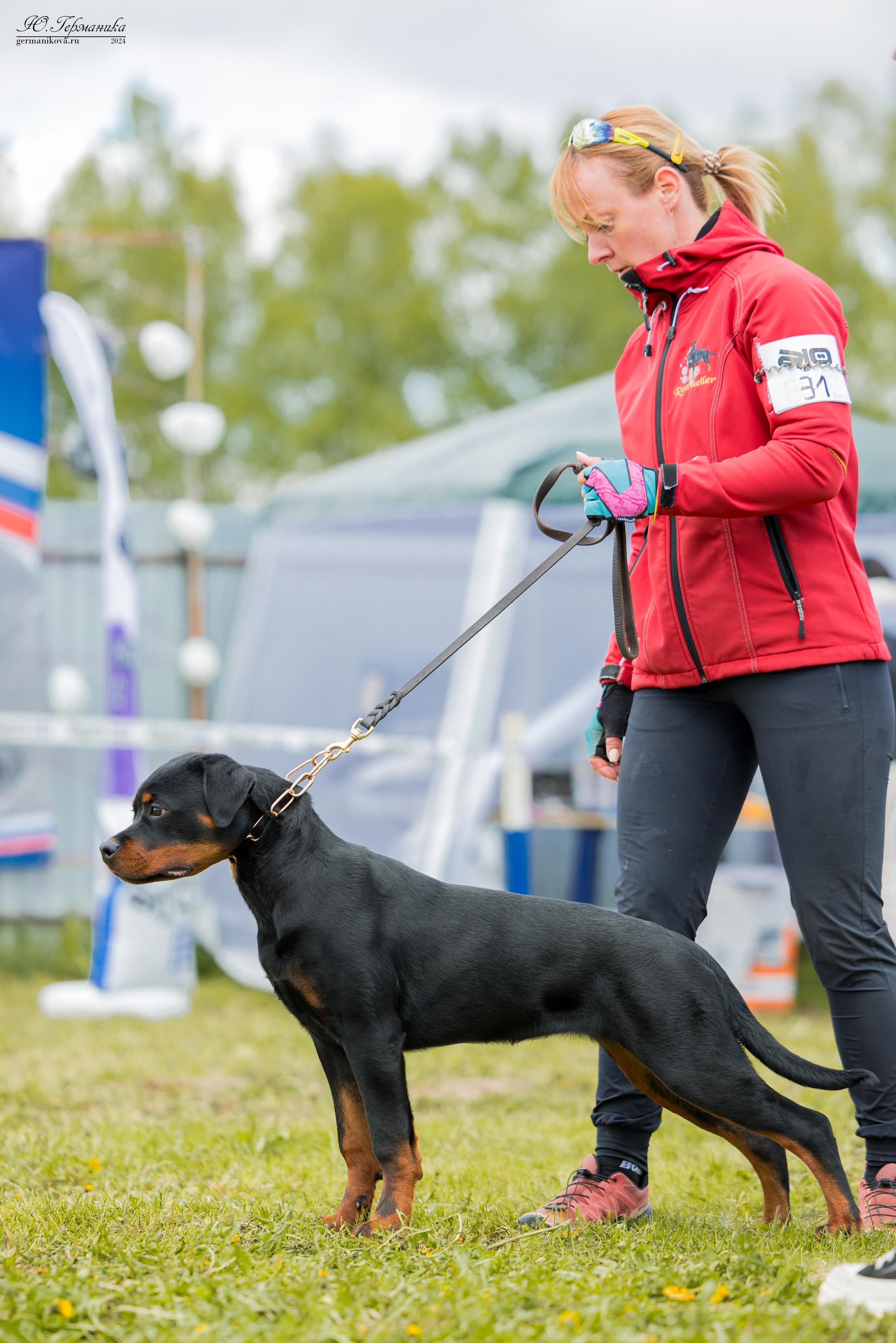 Нижний Новгород 11-12.05.2024 моно ротвейлеров. Фотограф-анималист Юлия Германика