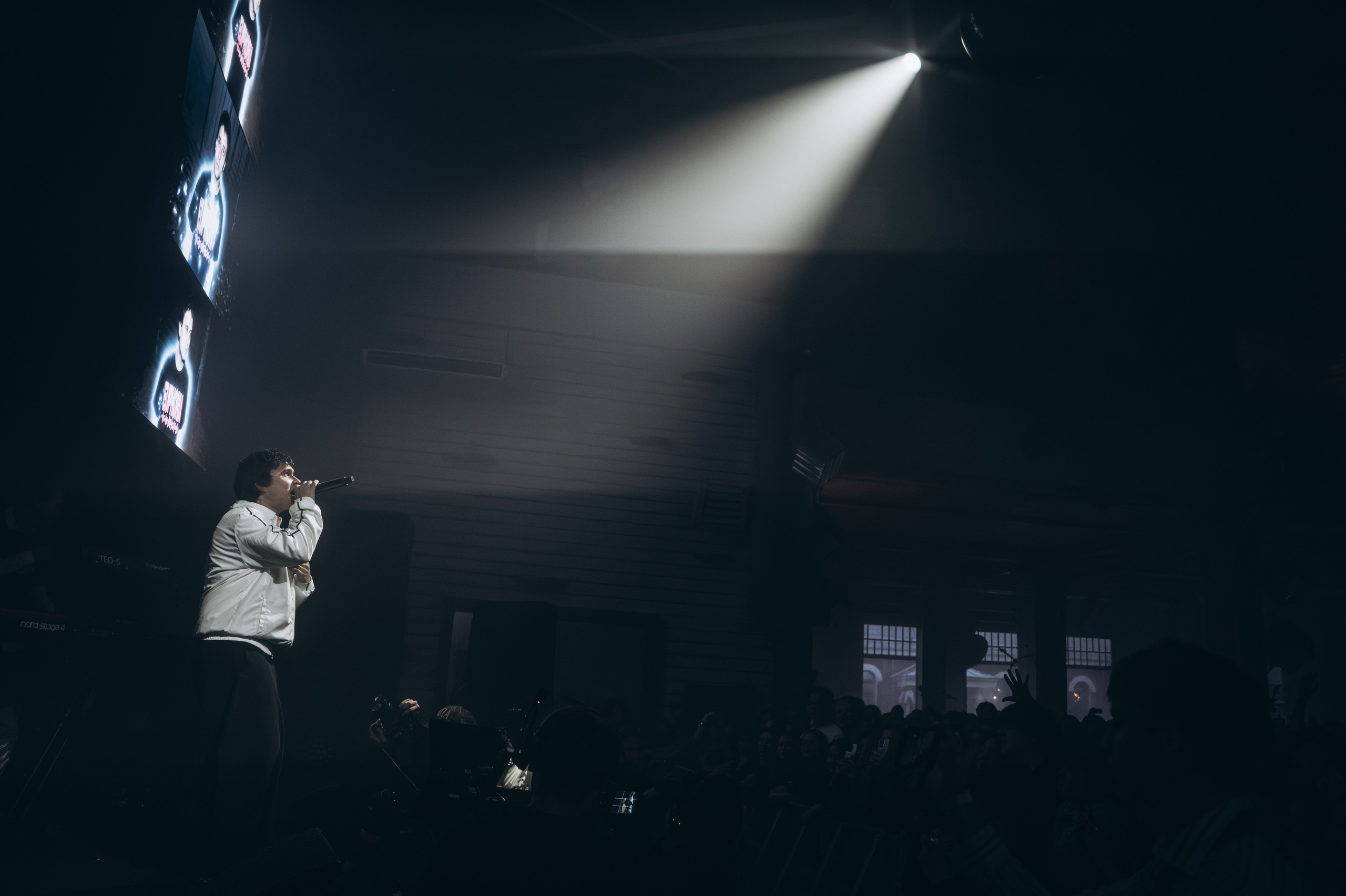 SALUKI. Фотограф Санкт-Петербурга