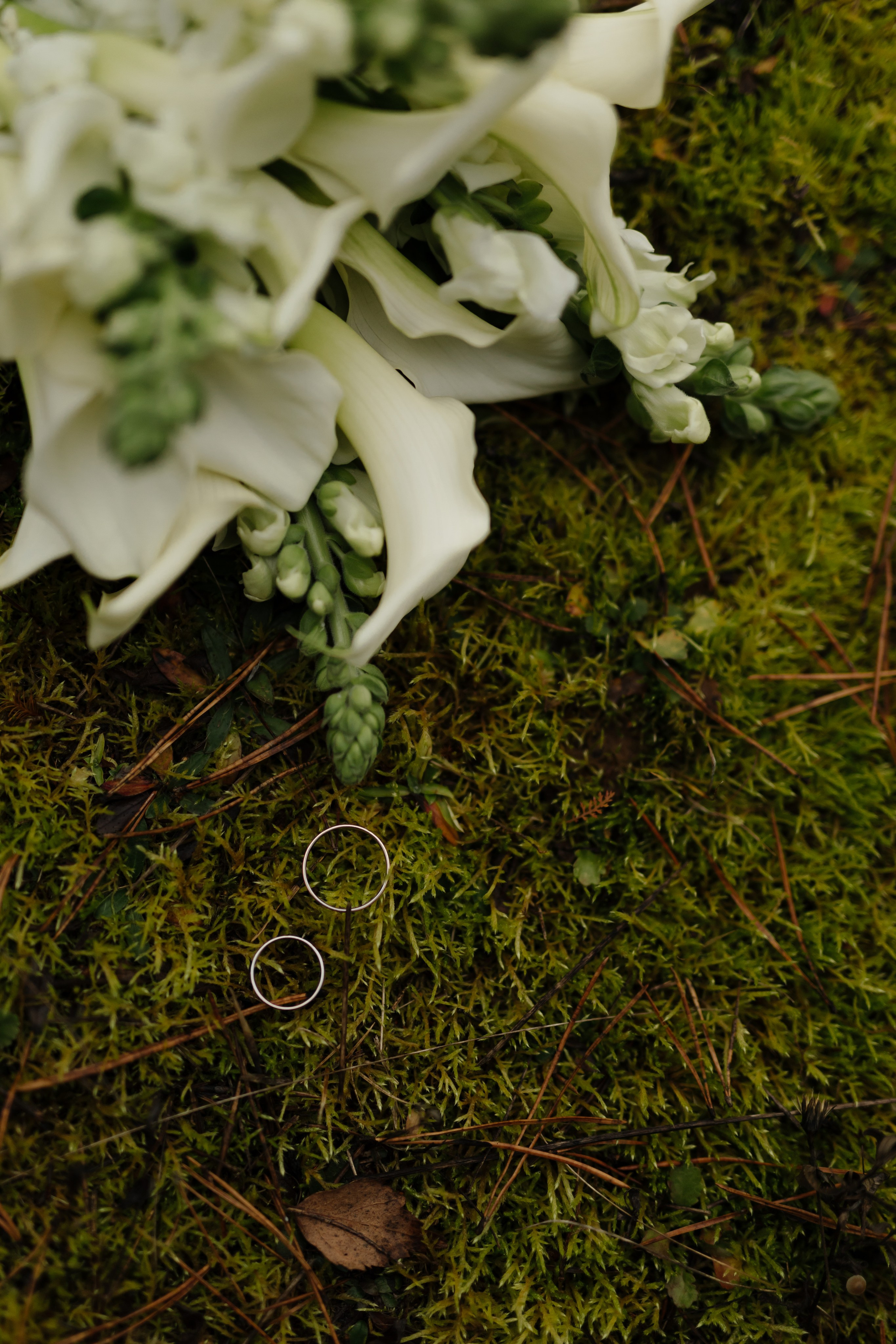 Свадьба Кирилла и Елизаветы. Фотограф Кольчугино/Владимир/Москва Елизавета Иода