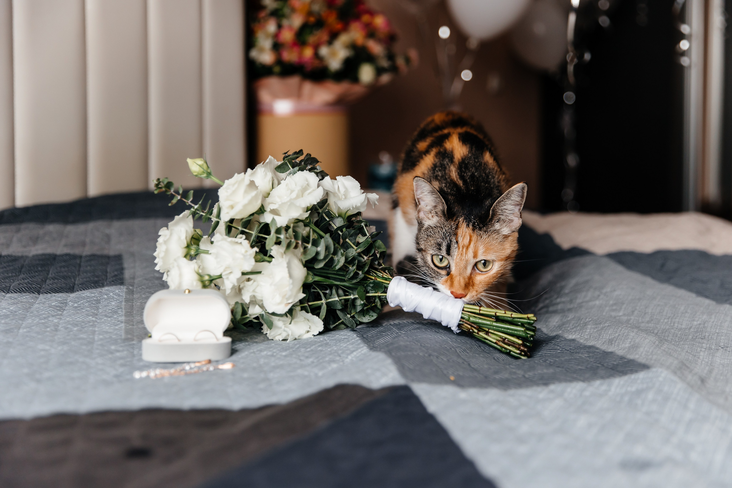 Анонс свадьбы для Романа и Алены. Свадебный фотограф в Крыму и Севастополе Ольга Баскакова