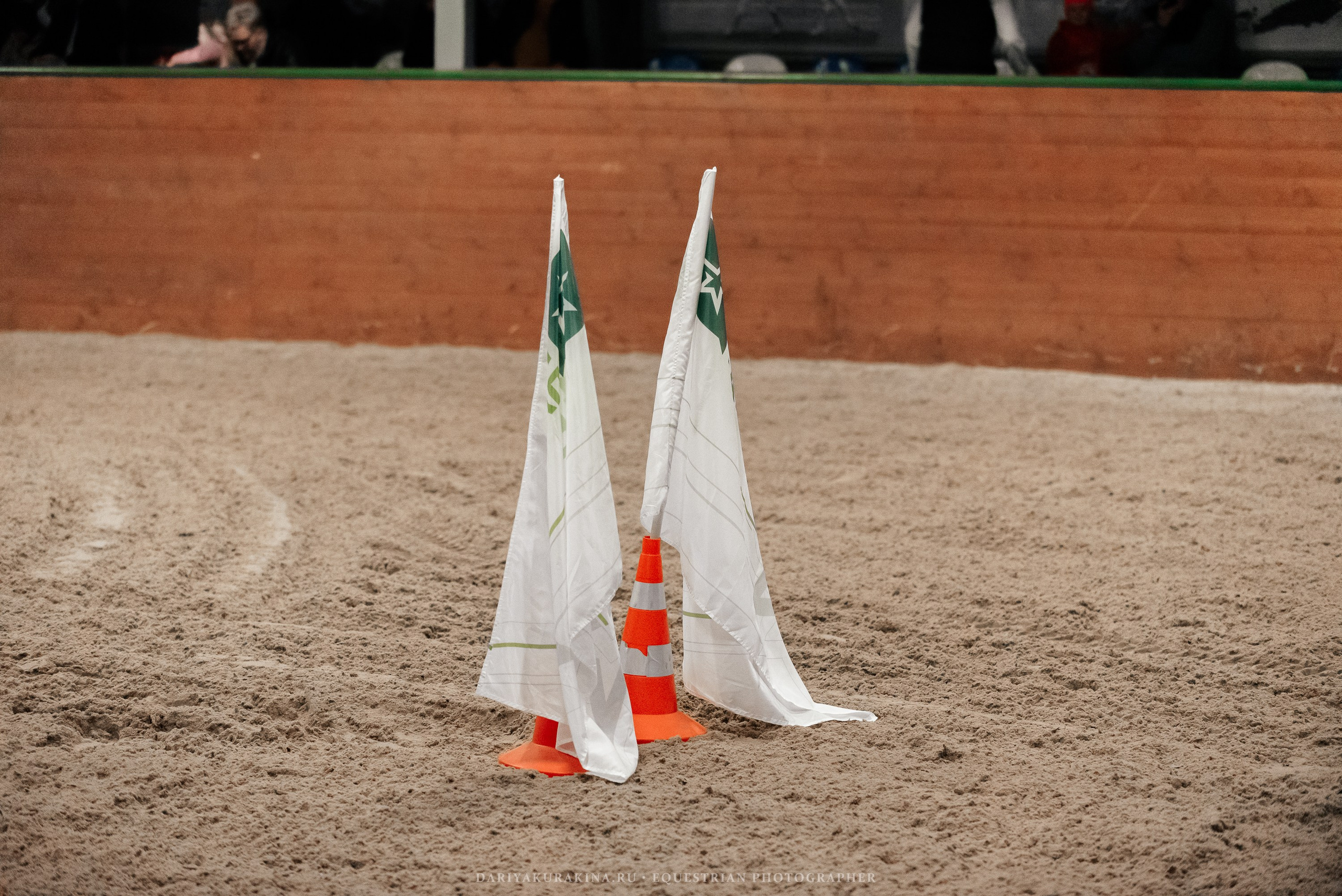 Конное представление «Дыхание Звёзд». Конный фотограф Куракина Дарья • Фотосессии с лошадьми