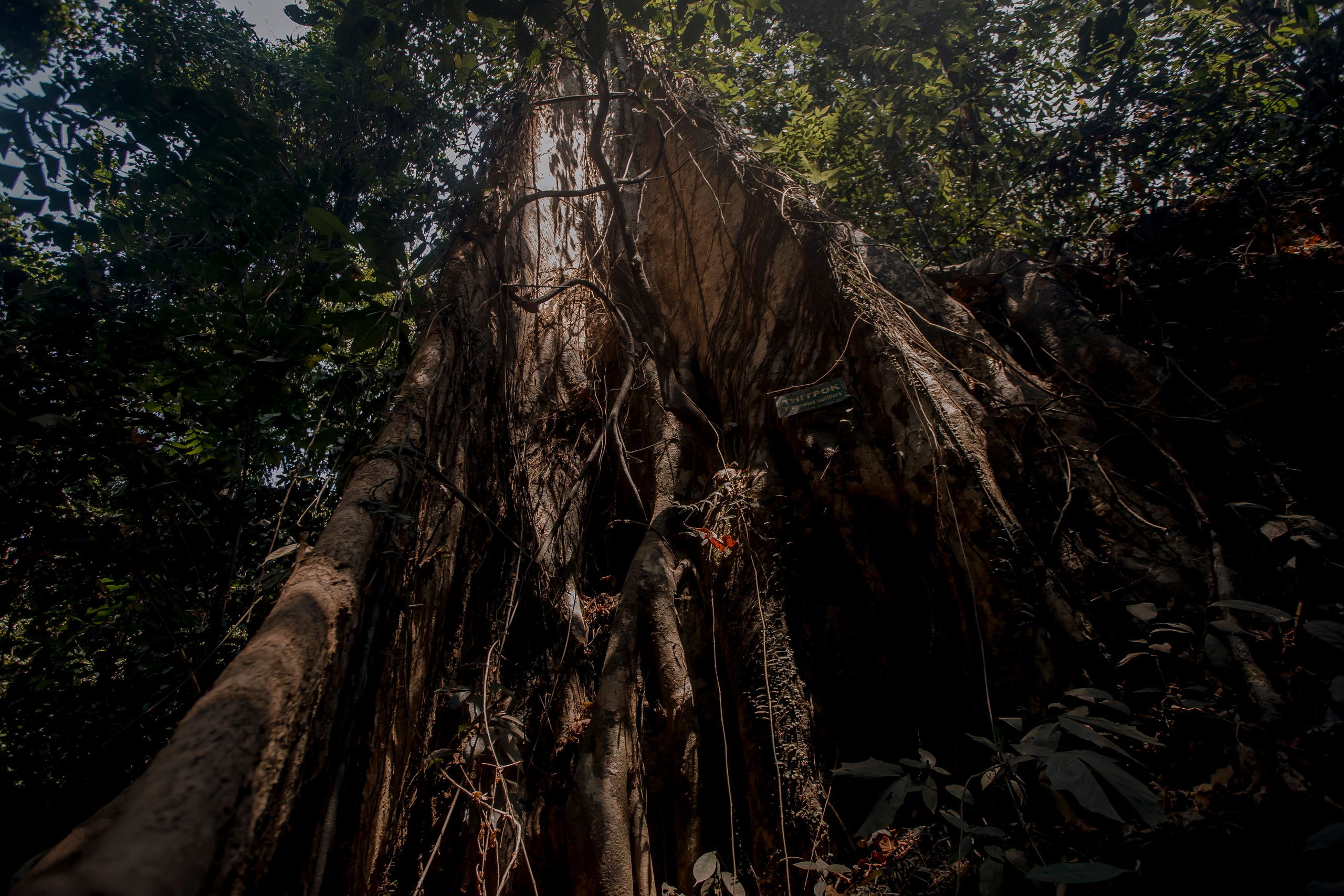 Andaman Islands, Part2. Art Photographer