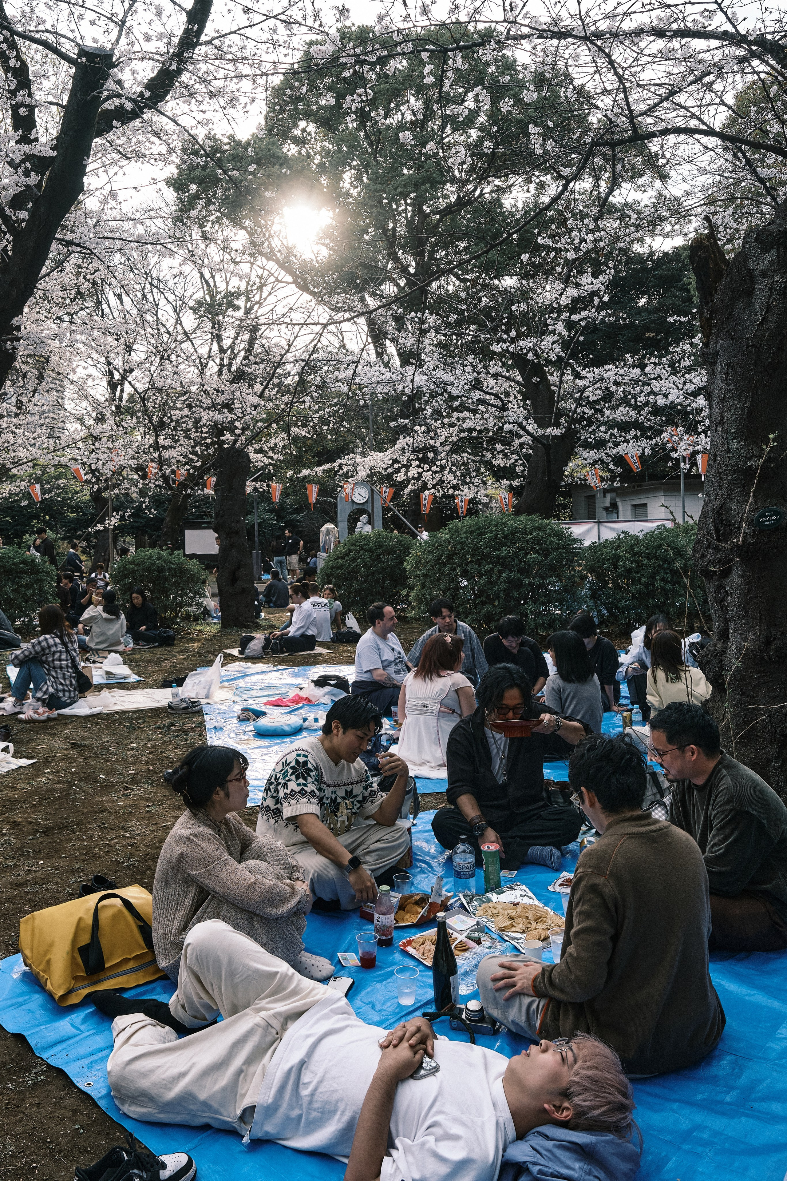 Japan / Osaka≫Kyoto≫Tokyo. Aleksandr Kobtsev