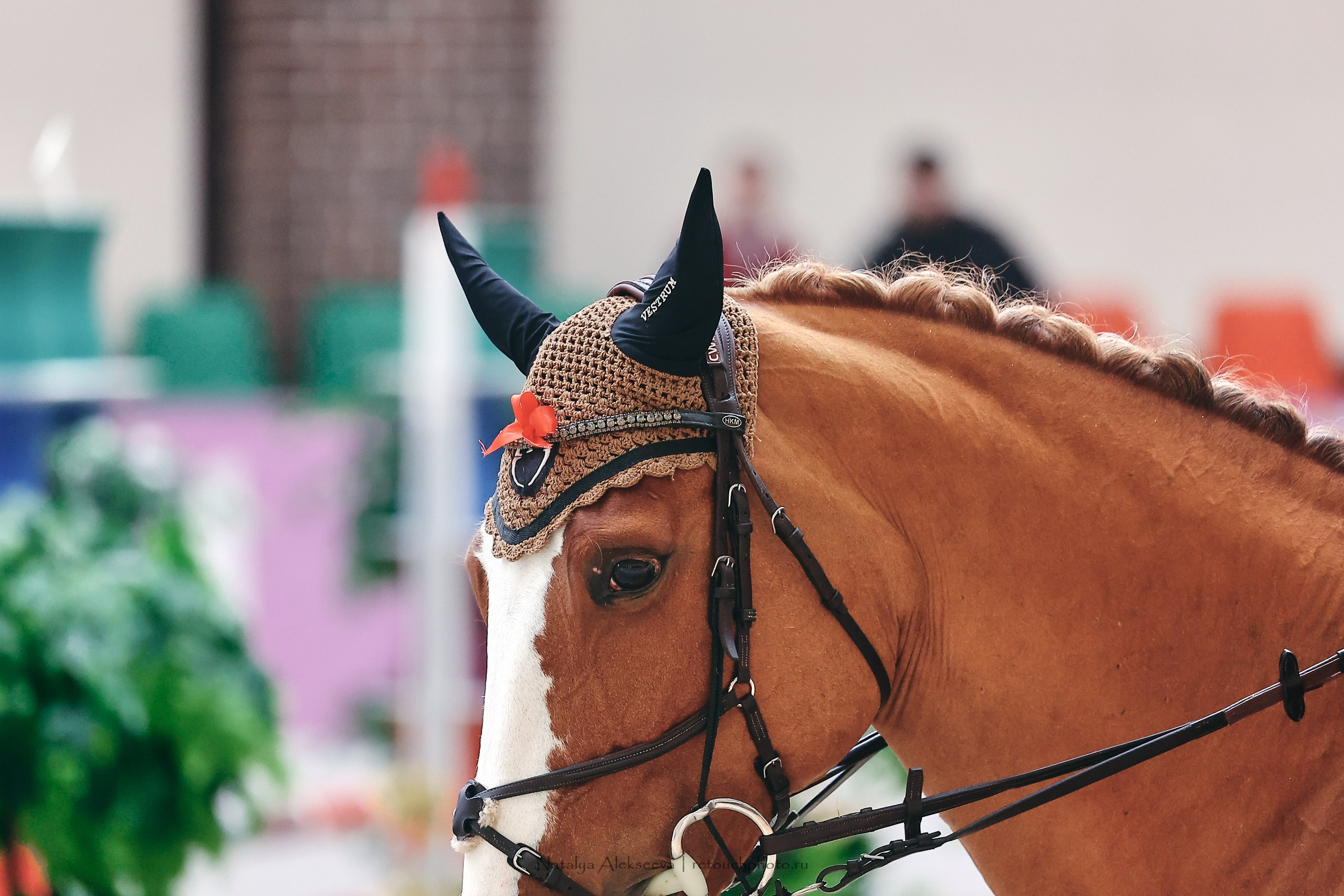 Кубок России по конкуру, Maxima Stables | 04'2023. Репортажный фотограф и ретушер в Москве Наталья Алексеева