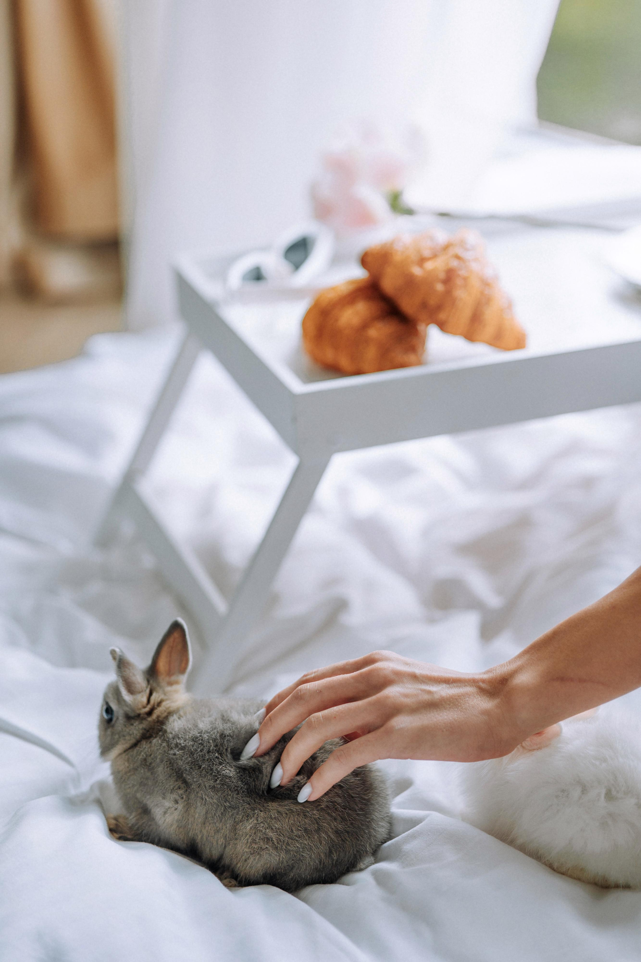 Виктория и Александр. Свадебный фотограф Минск РБ