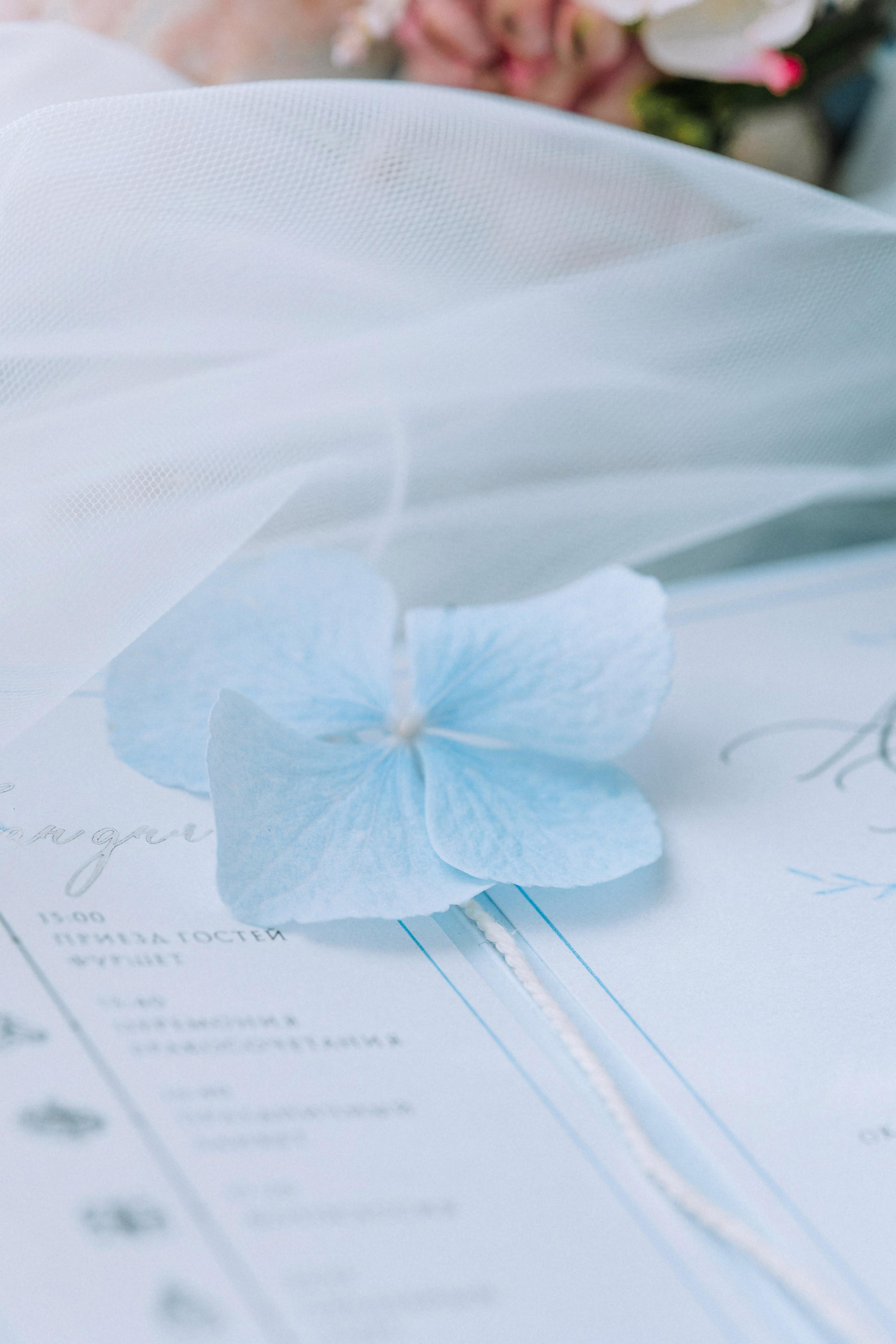 Виктория и Александр. Свадебный фотограф Минск РБ