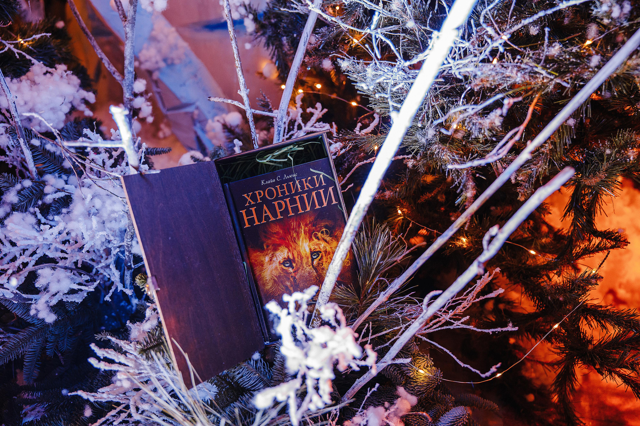 LeverX. Свадебный фотограф Минск РБ