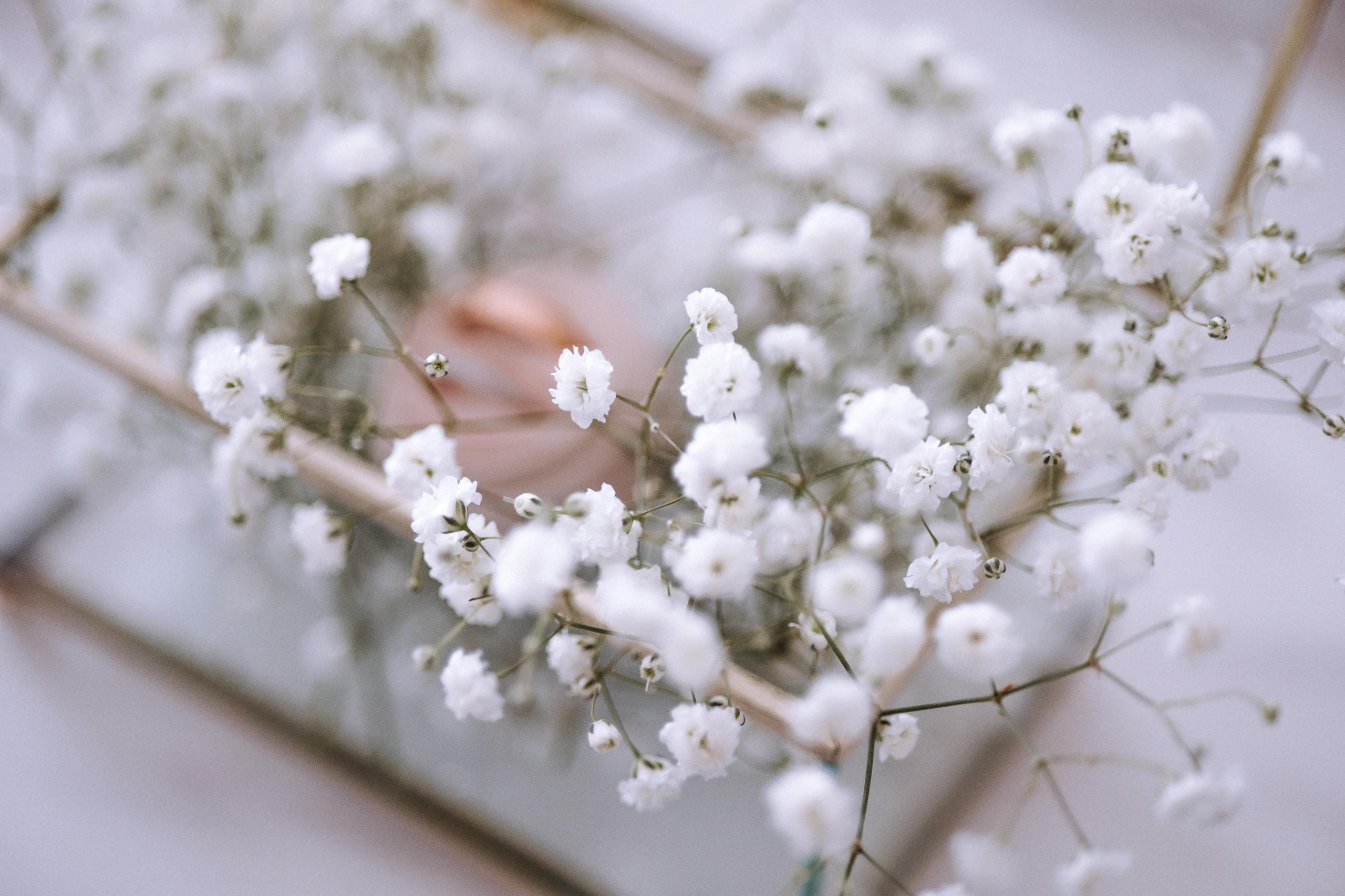Анна и Дмитрий. Свадебный фотограф Минск РБ