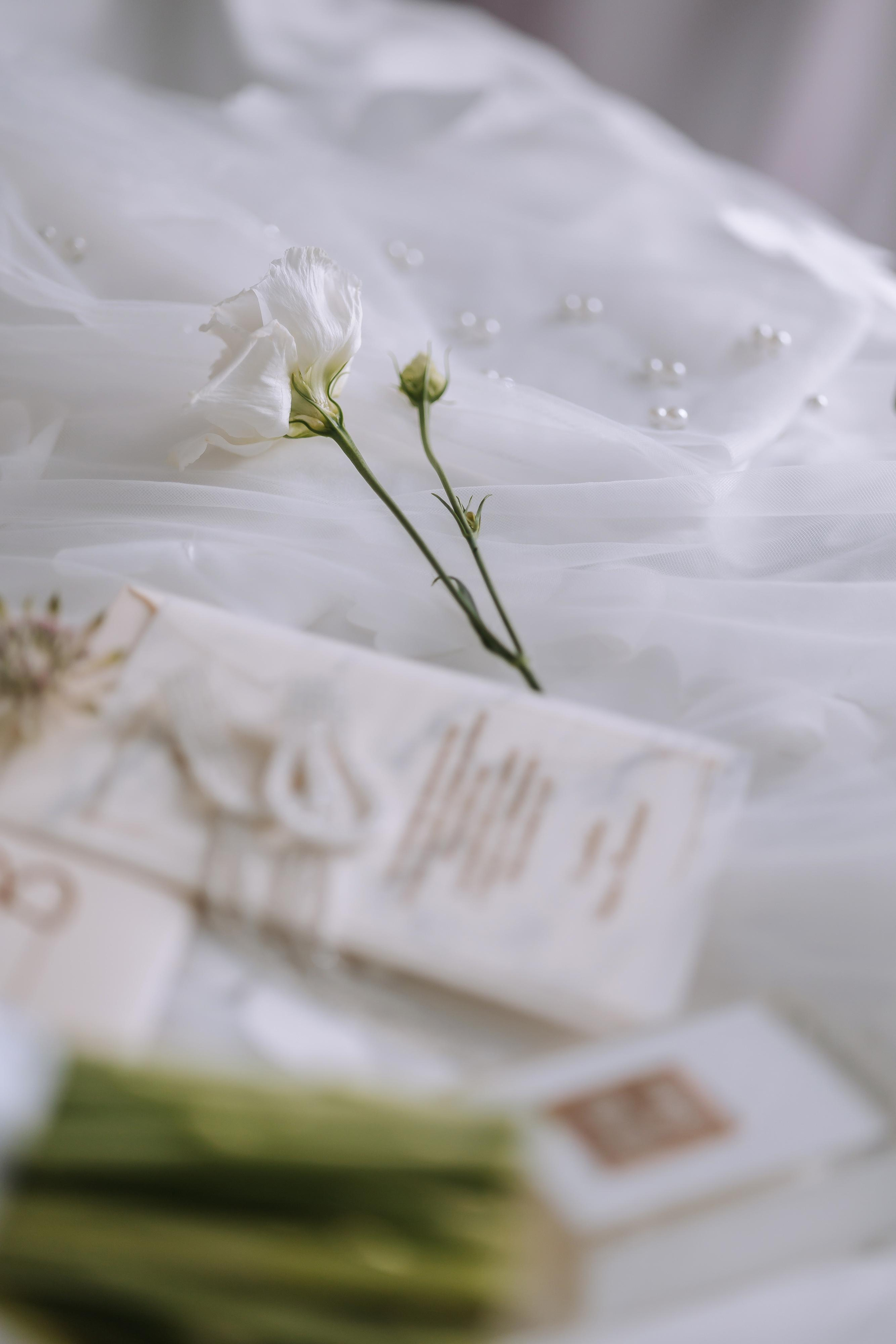 Виктория и Игорь. Свадебный фотограф Минск РБ