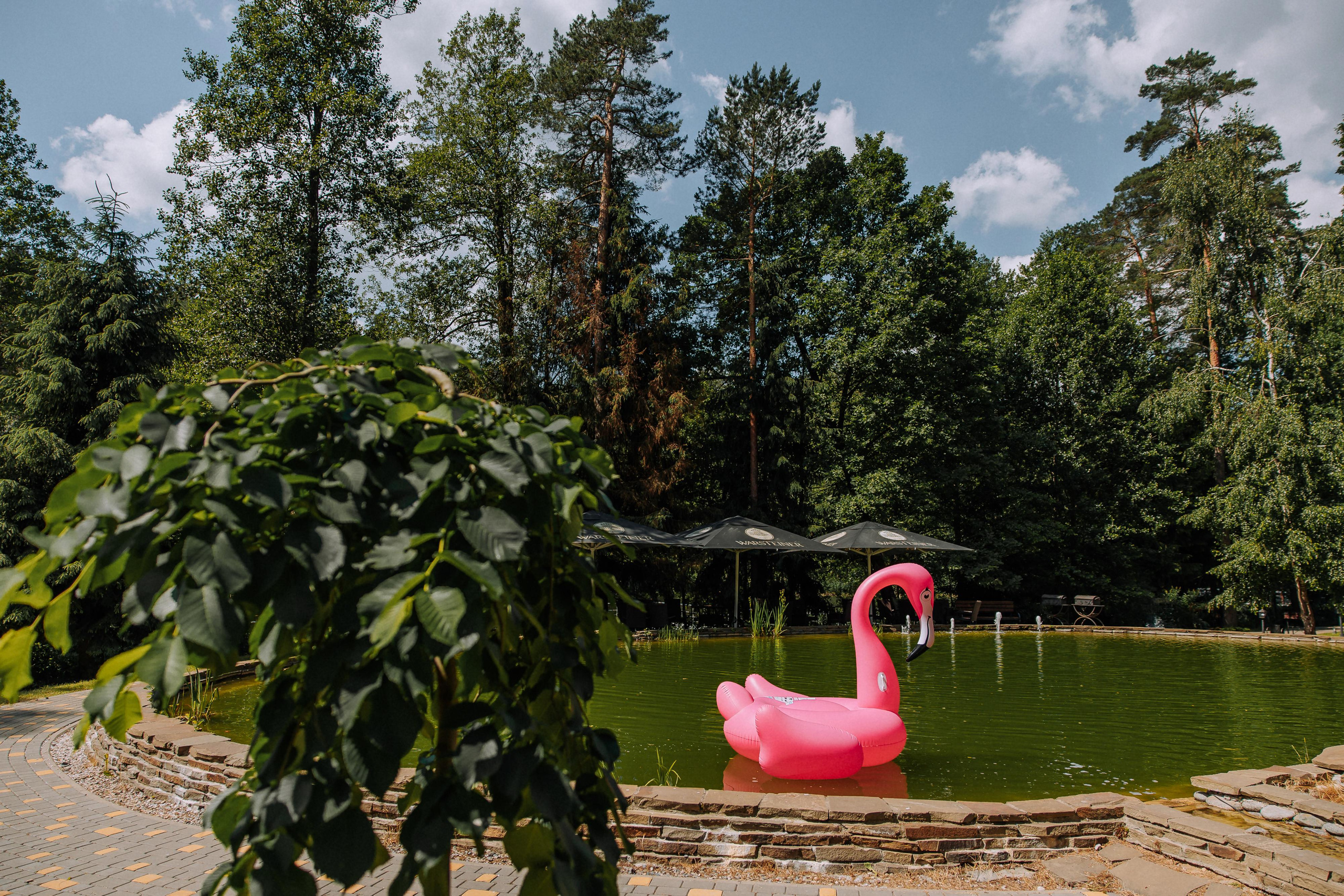 Павел и Карина. Свадебный фотограф Минск РБ