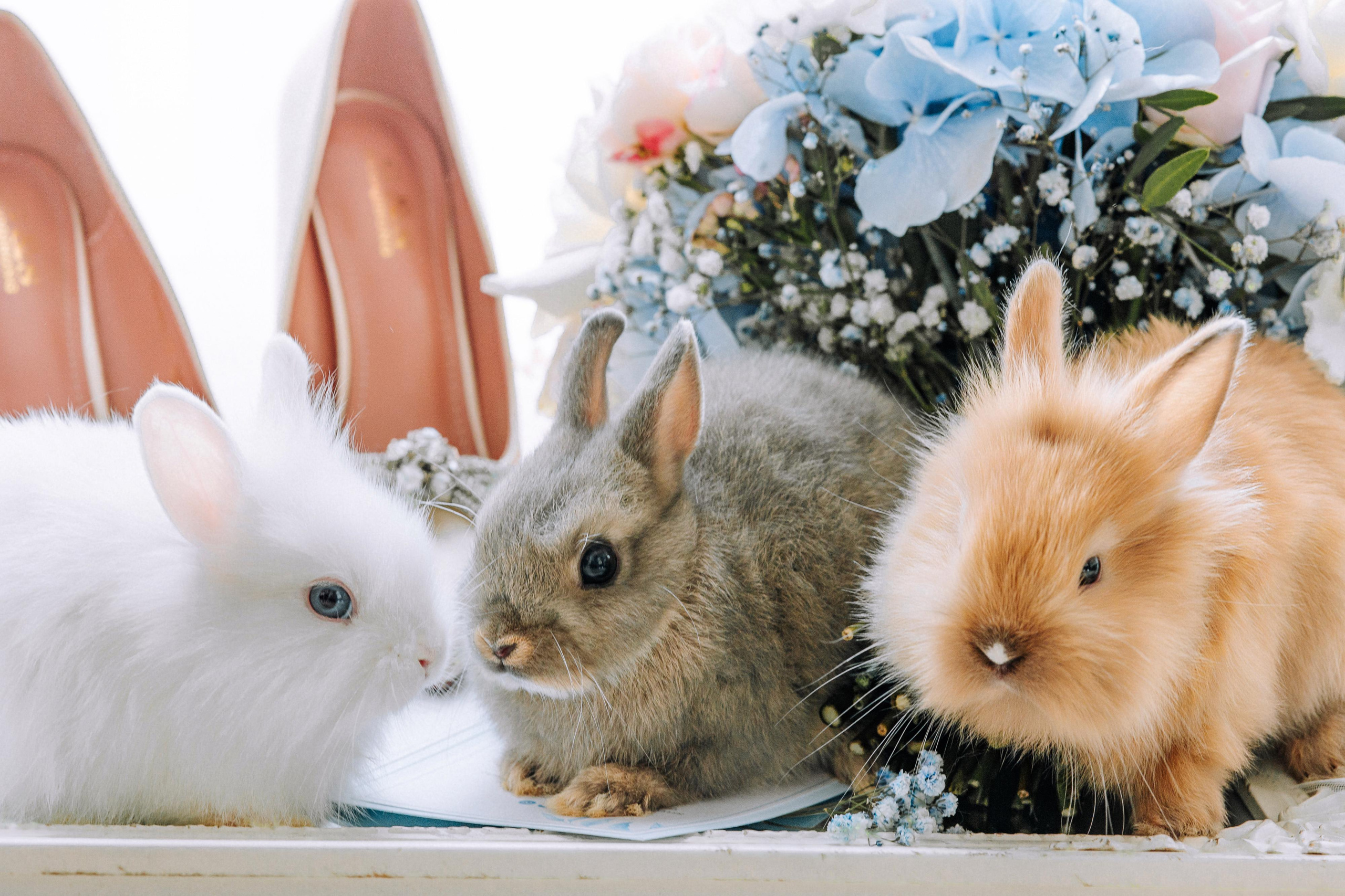 Виктория и Александр. Свадебный фотограф Минск РБ