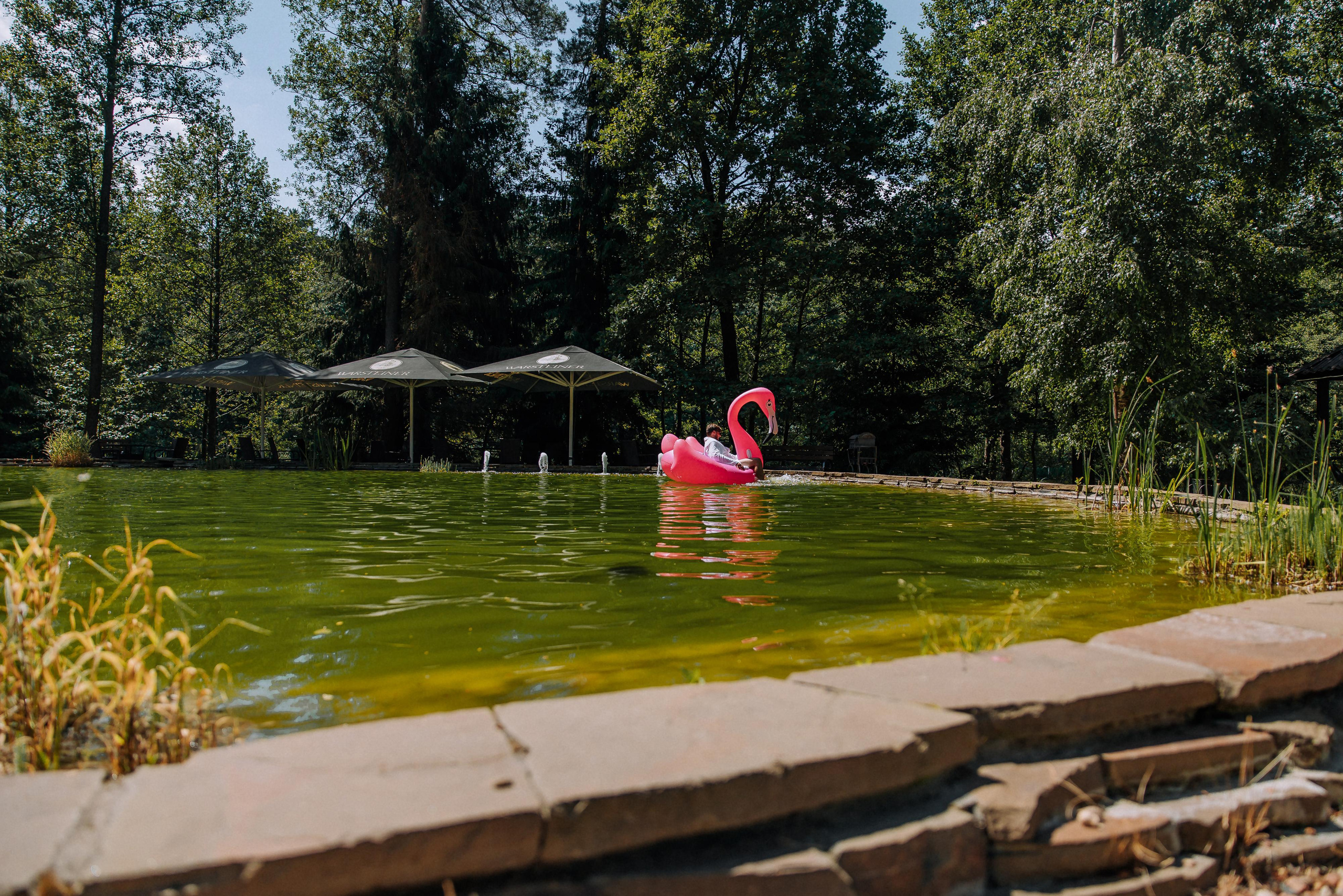 Павел и Карина. Свадебный фотограф Минск РБ