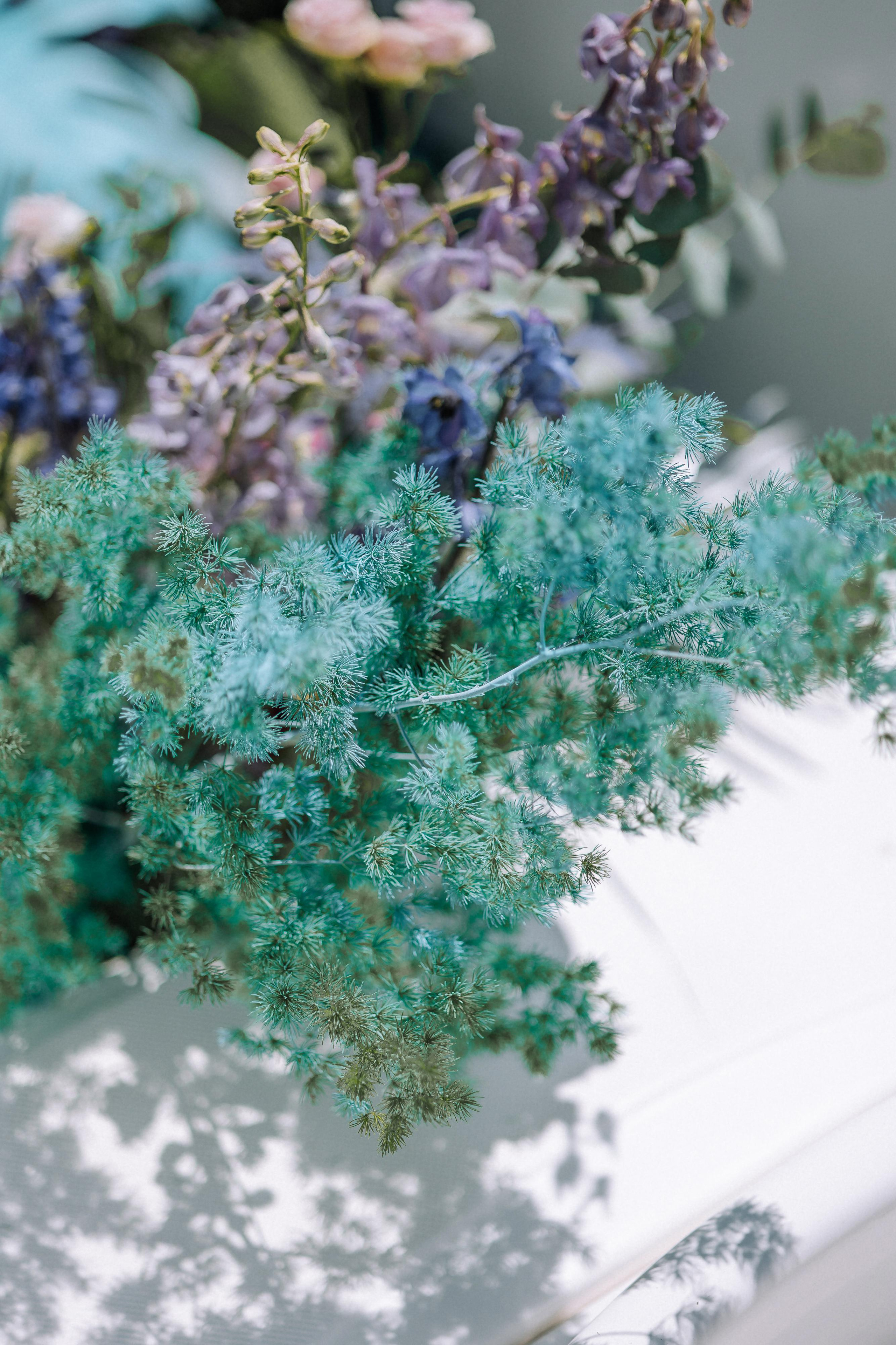 Павел и Карина. Свадебный фотограф Минск РБ