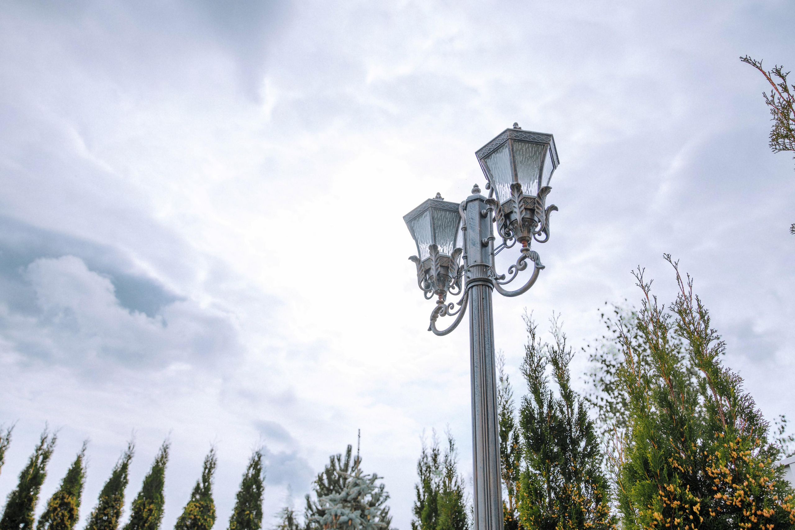 Виктория и Александр. Свадебный фотограф Минск РБ