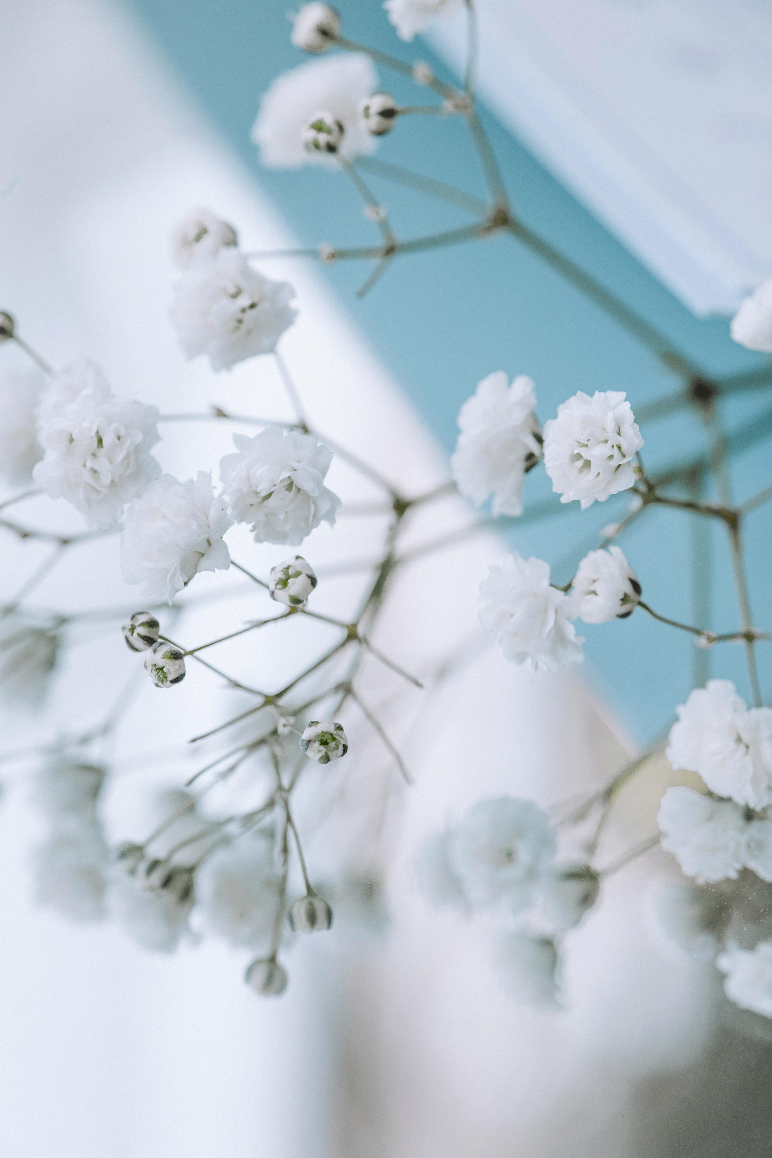 Виктория и Александр. Свадебный фотограф Минск РБ