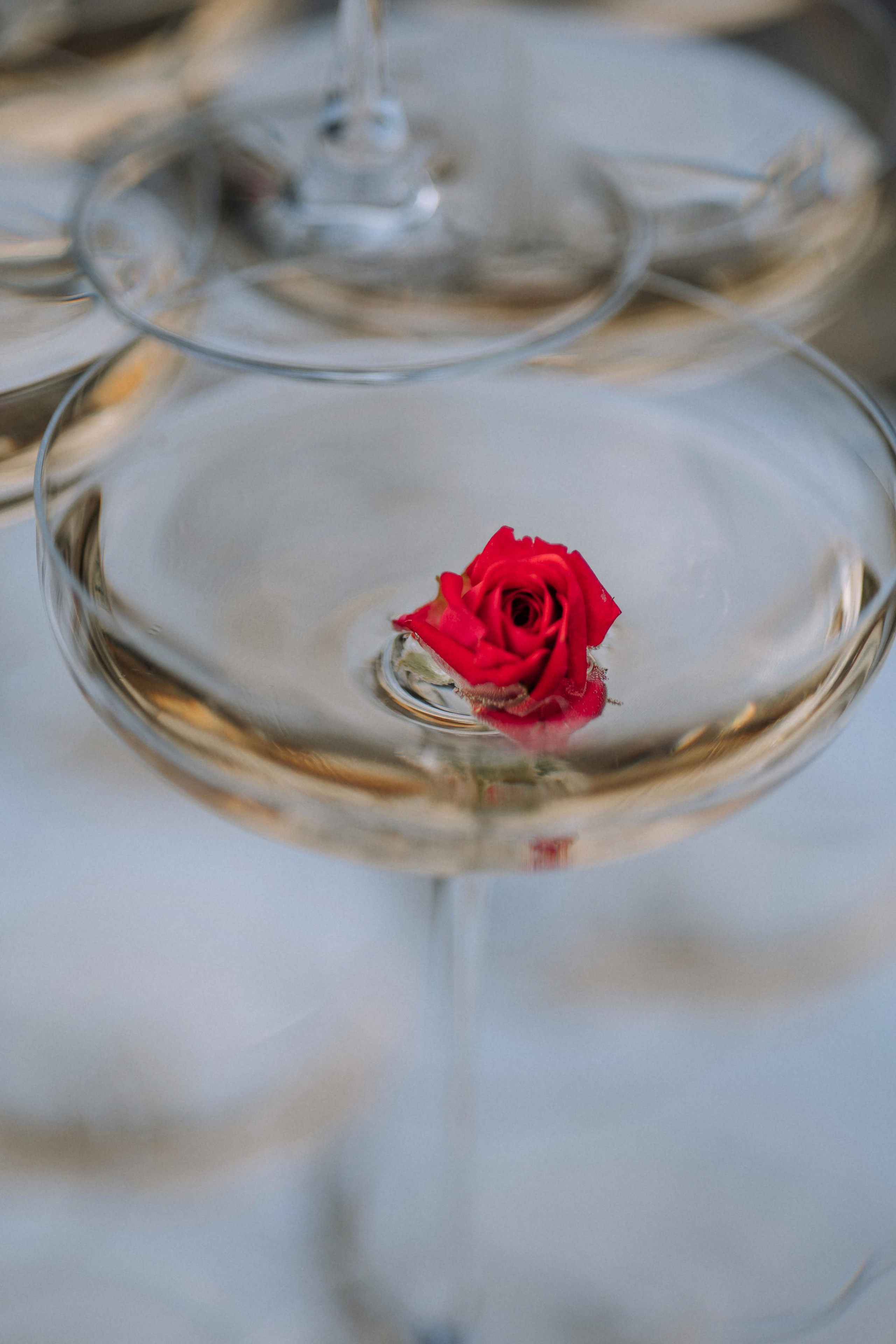 Виктория и Александр. Свадебный фотограф Минск РБ