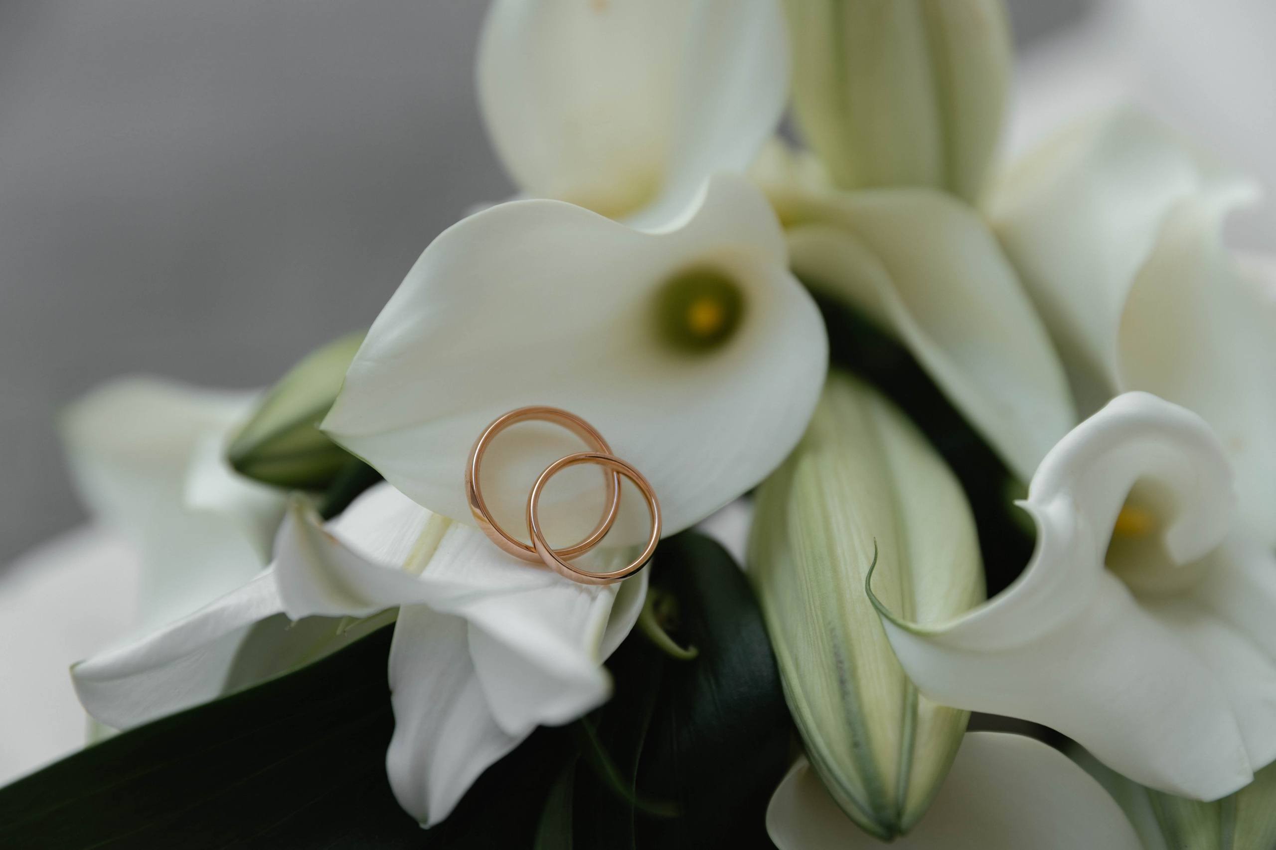 Полина и Даниил. Семейный и свадебный фотограф Нижний Новгород