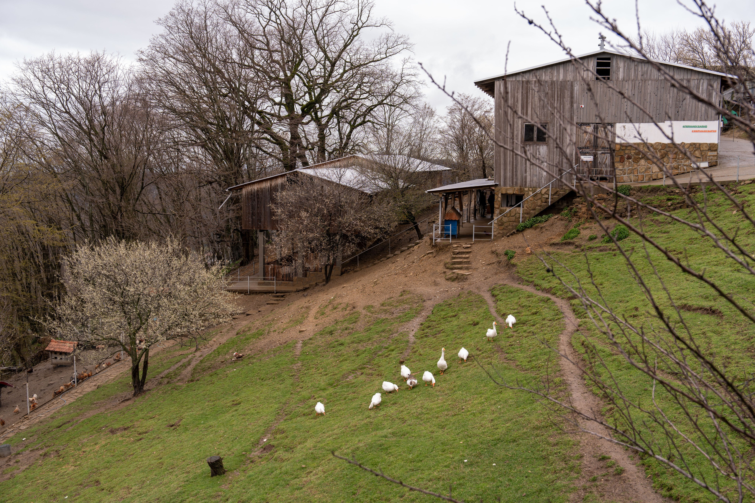 MICE мероприятие на ферме Экзархо. Репортажный фотограф в Красной Поляне и Сочи Павлюченко Екатерина