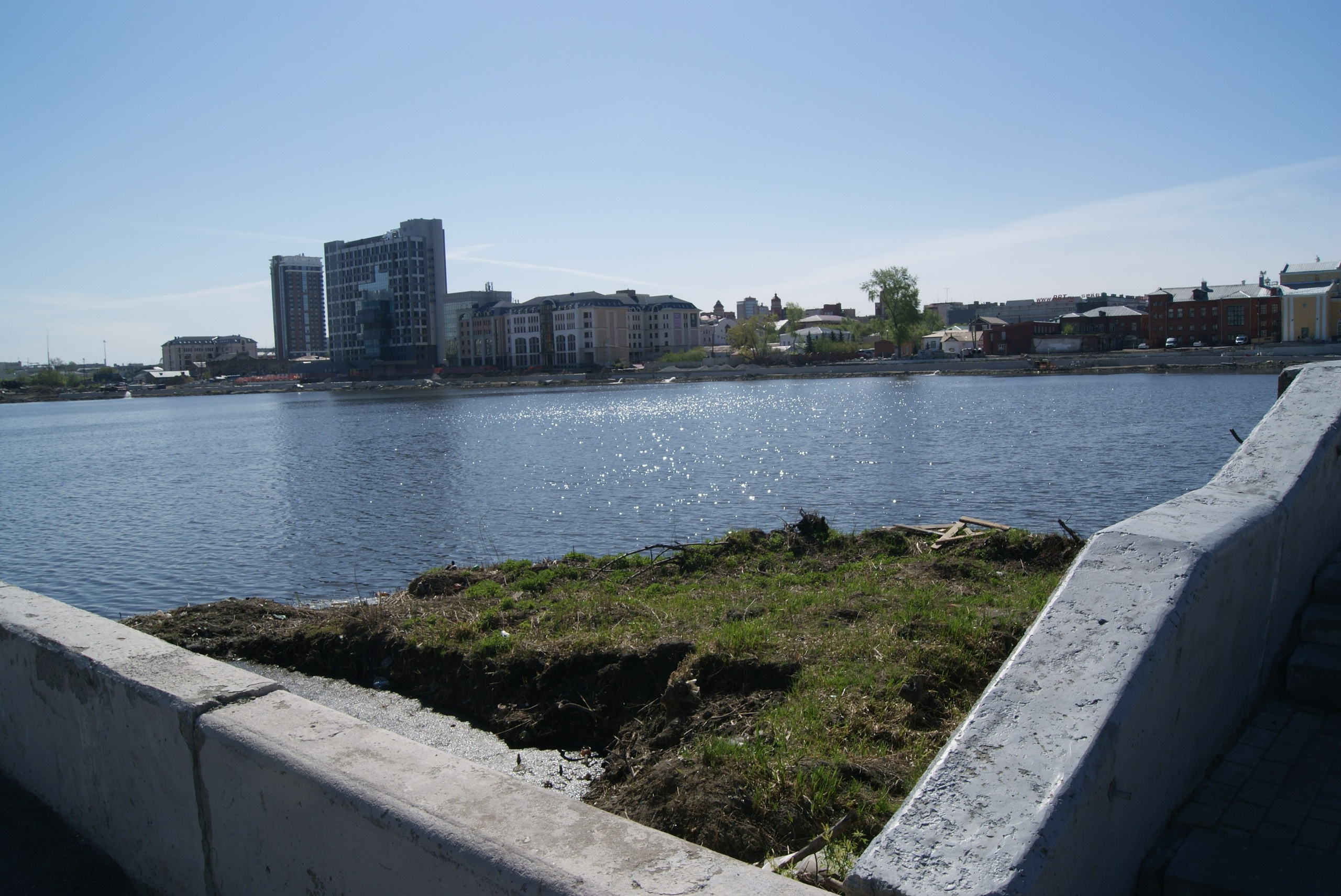 Между цирком и филармонией. Artist Oleg Semenovykh