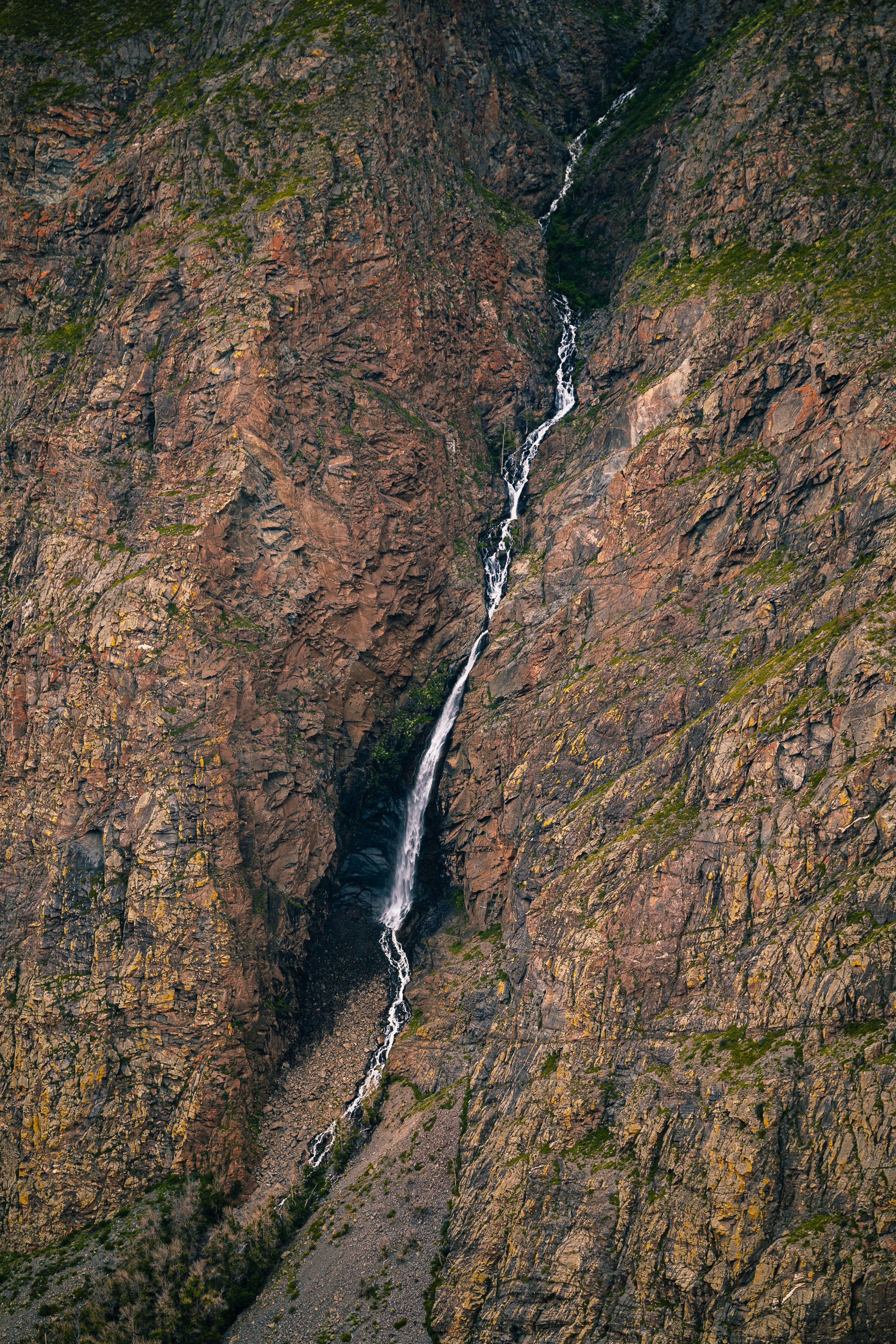 Алтай. Оператор и Фотограф в Санкт-Петербурге и Москве