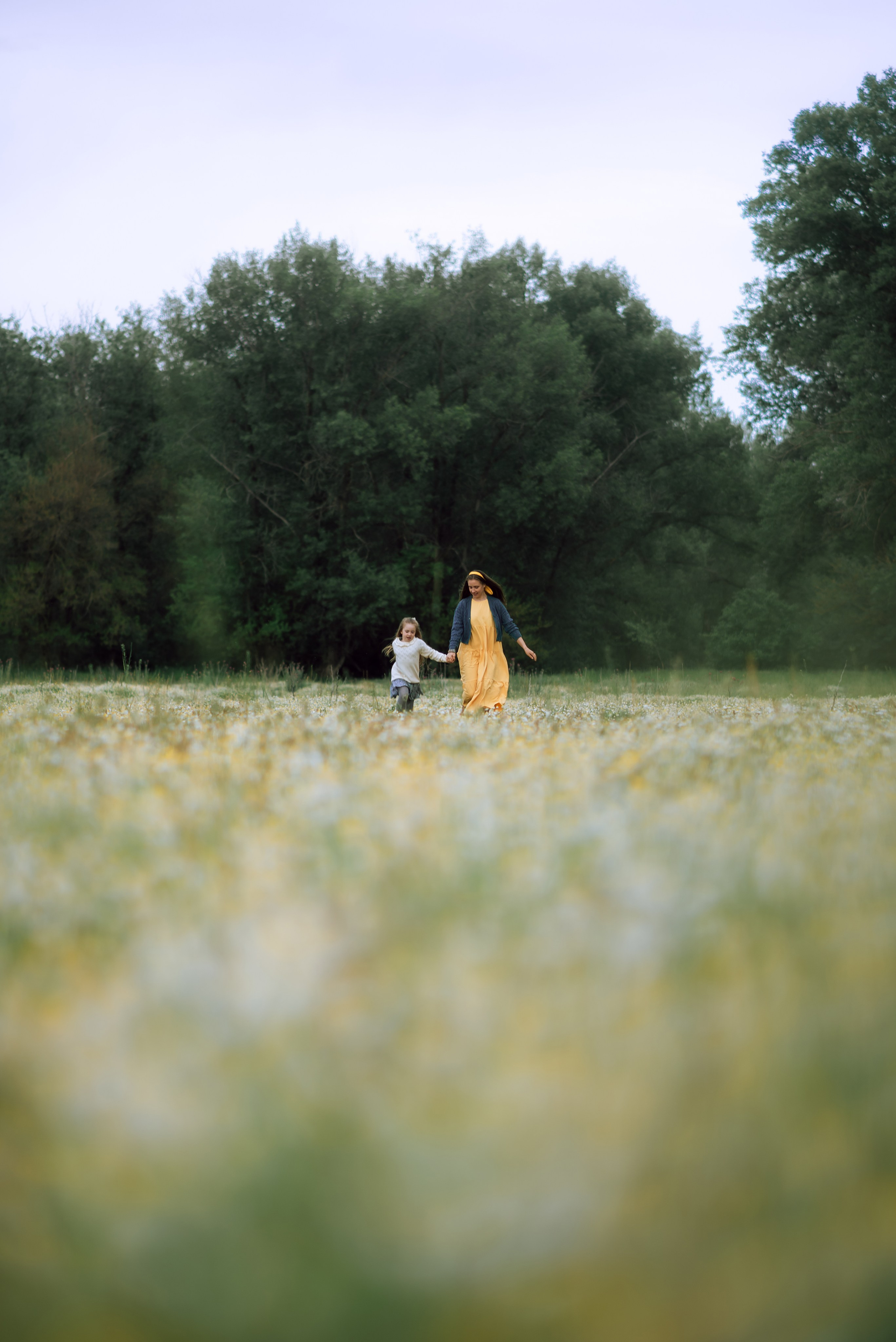 Ромашковое поле, полное любви. Главная